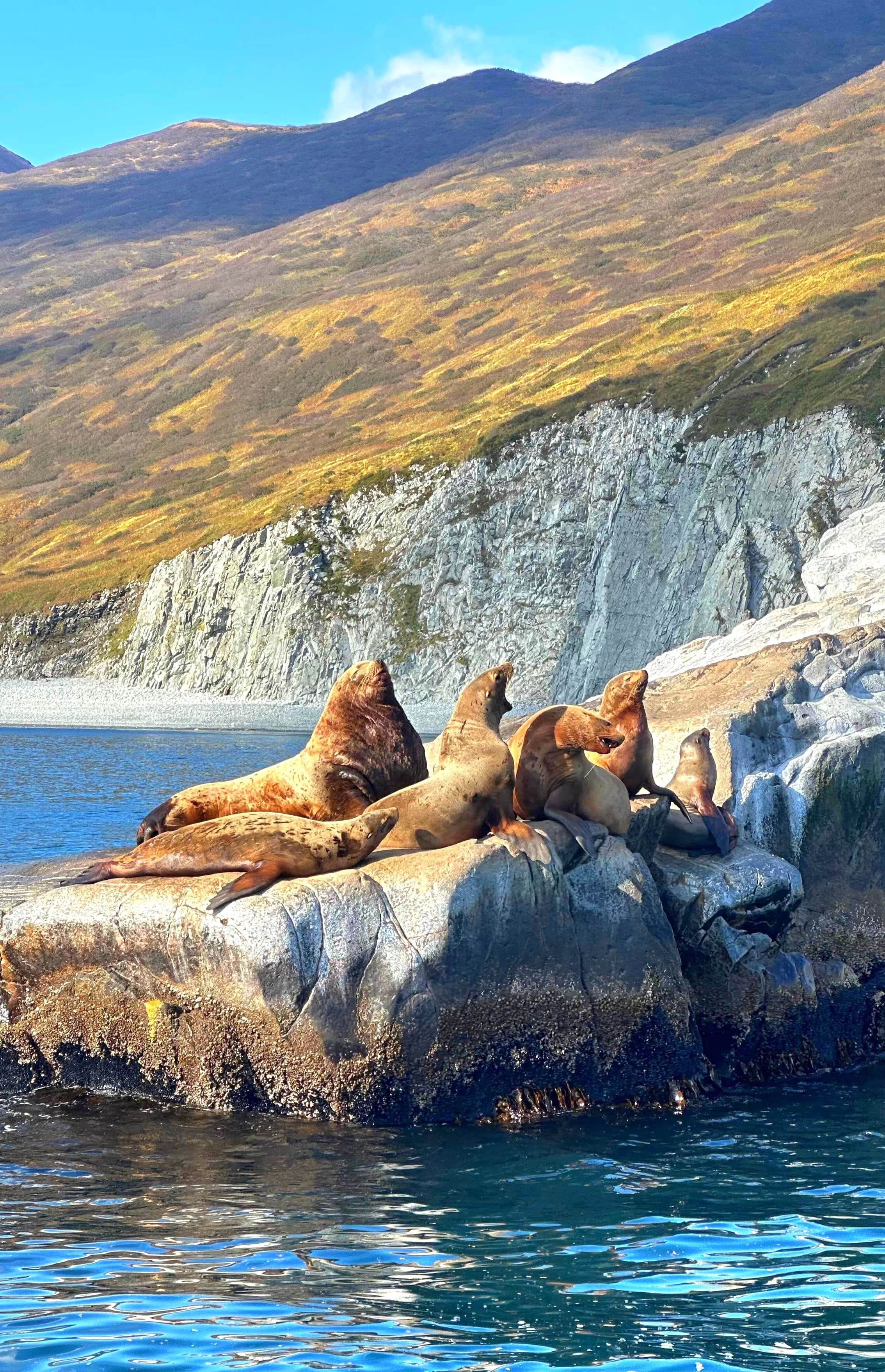 Легендарные локации Камчатки (44/99)