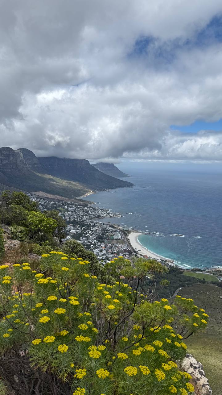 Кейптаун: Знакомство