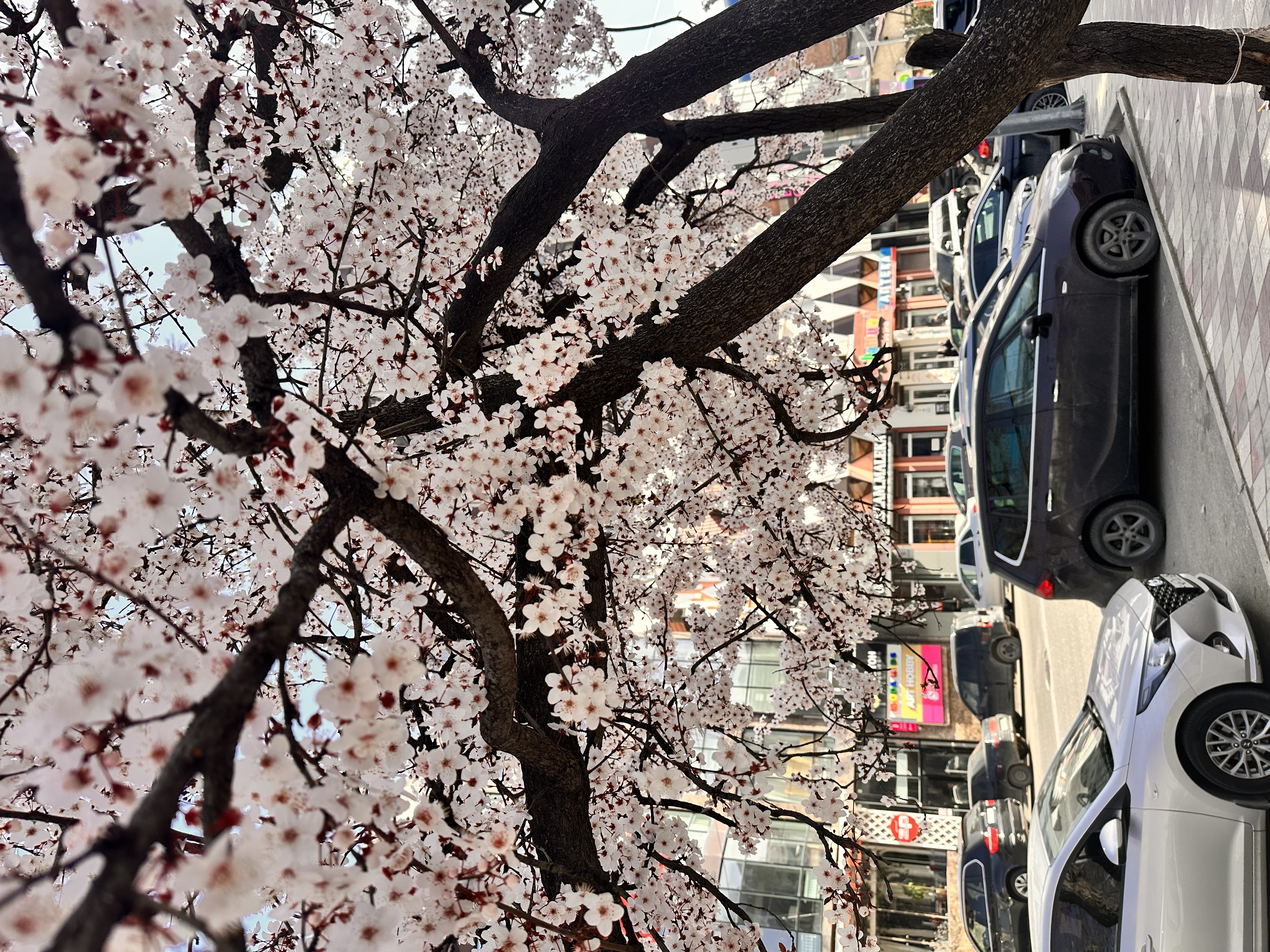 Старая Махачкала (35/36)