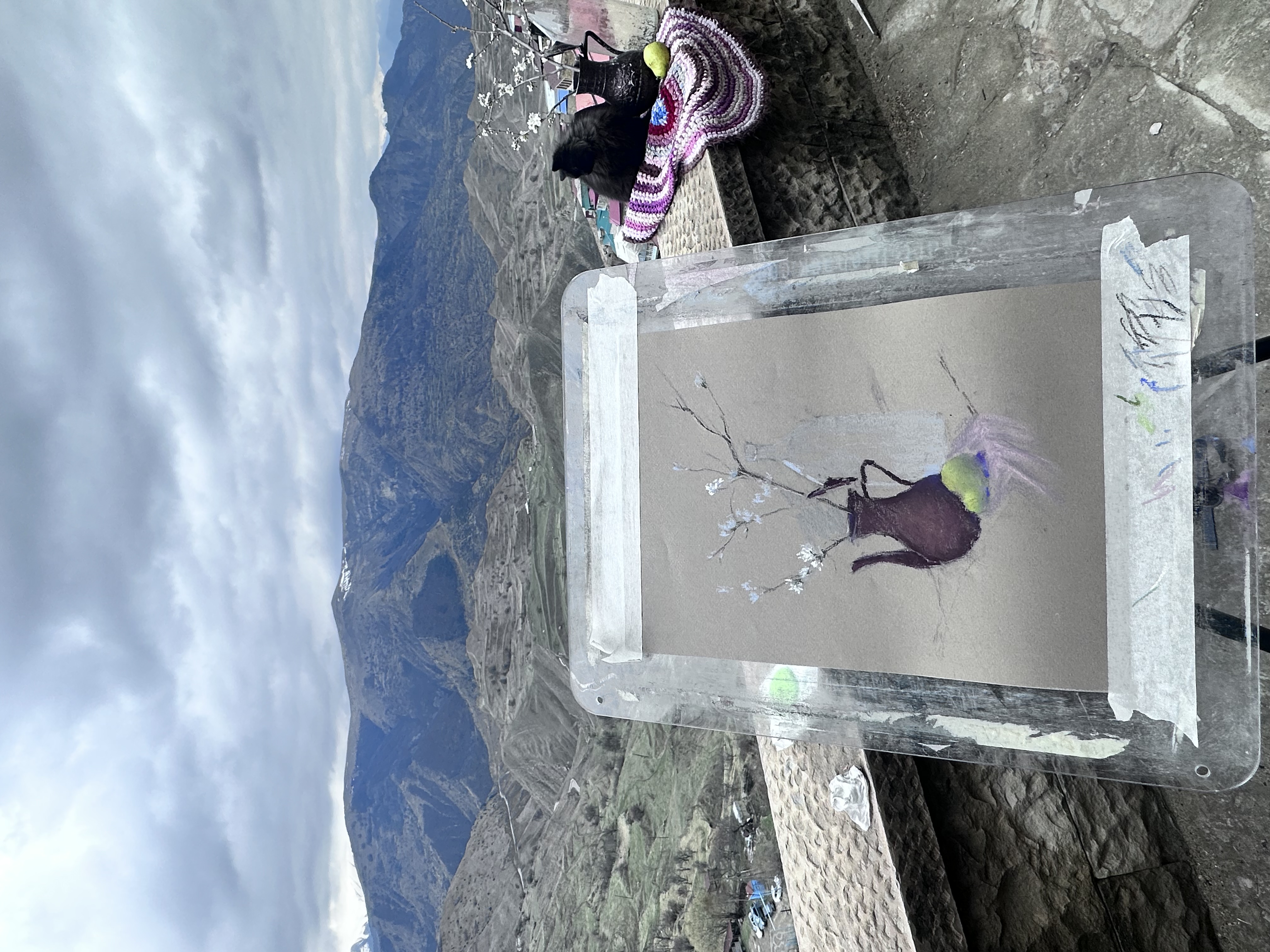 Пленэры с известным Акварелистом. Арт тур. (38/75)