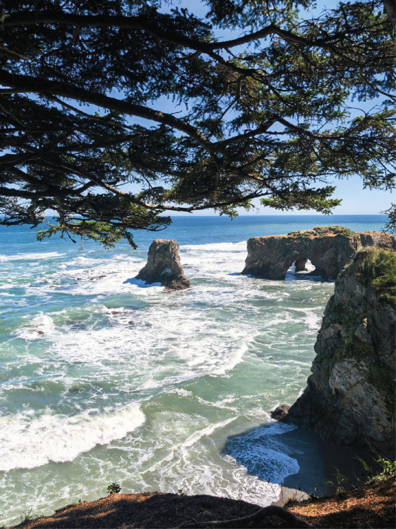 Джип-тур к Величественным Мысам Сахалина: Великан и Птичий (2/9)