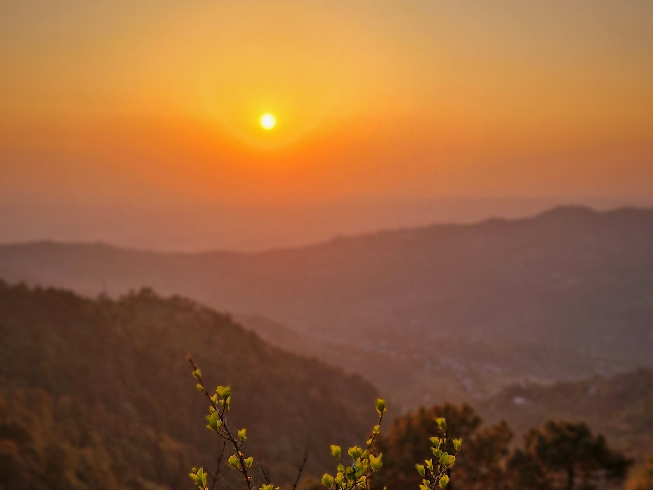 Безмолвие Индии: путешествие - погружение от озера Ревалсар до вершин Дхарамсалы (4/44)