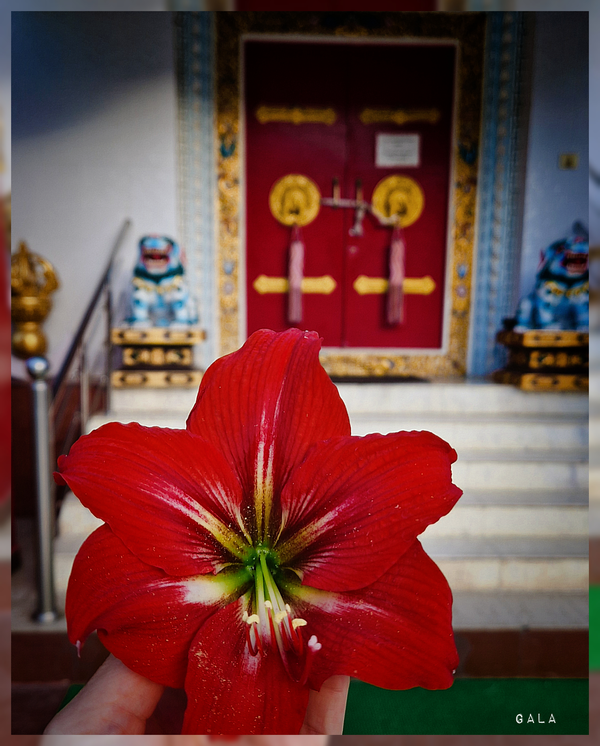 Безмолвие Индии: путешествие - погружение от озера Ревалсар до вершин Дхарамсалы (13/44)