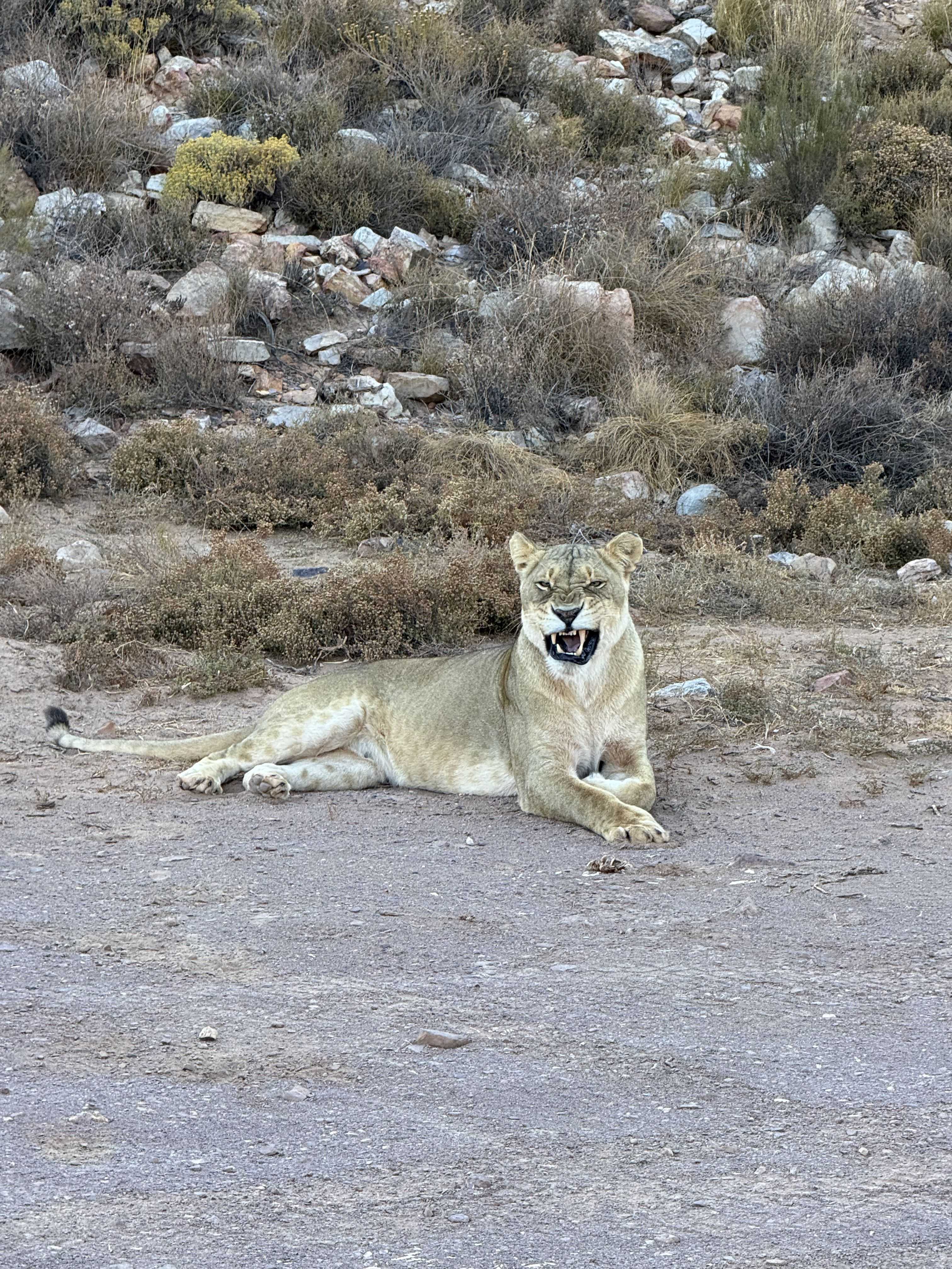 Большое путешествие по Юар (25/31)