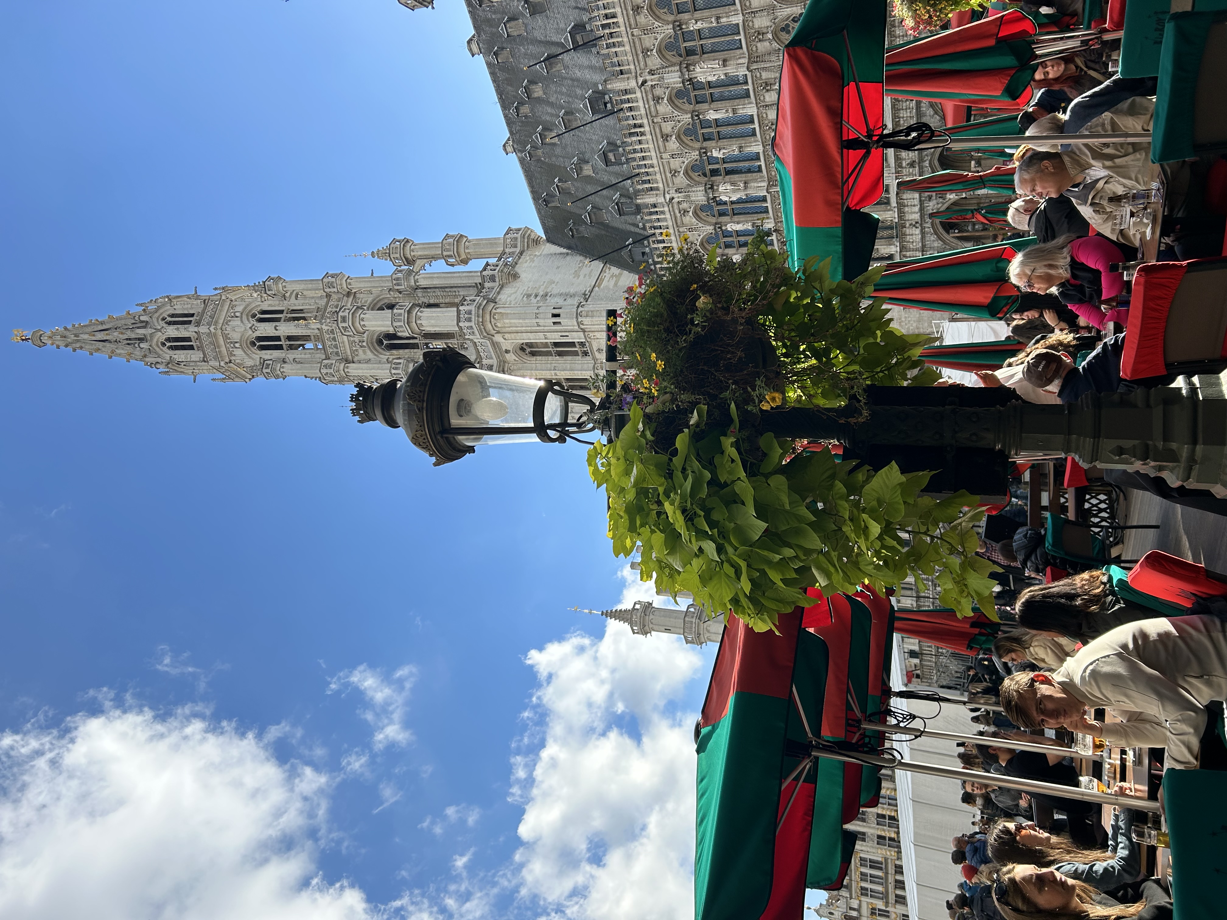 Франция - Бельгия - Голландия (заезд в субботу) (17/40)