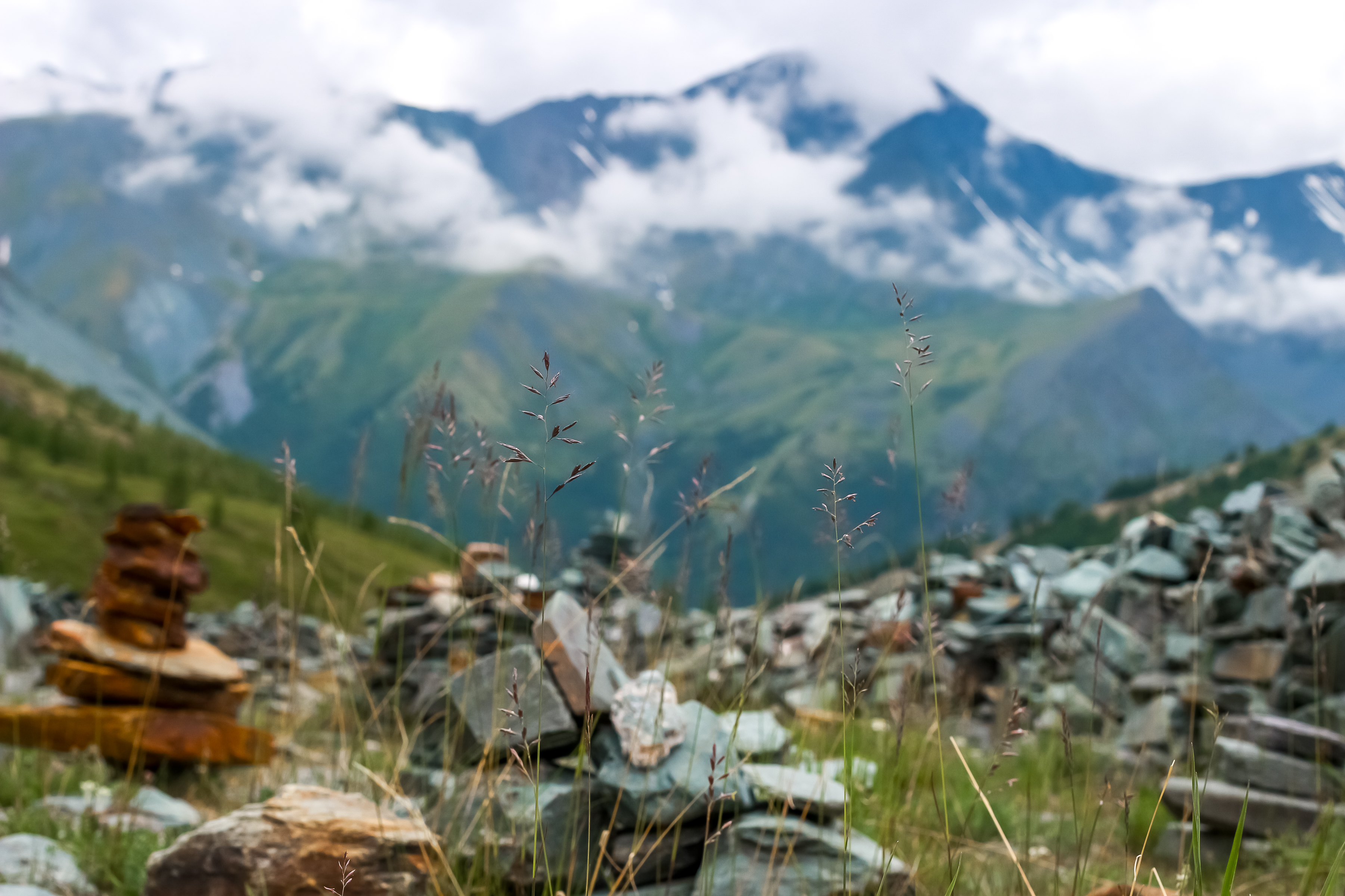 Поход к подножию Белухи с легкими рюкзаками. 11 дней. Кемпинг, баня, питание (18/33)