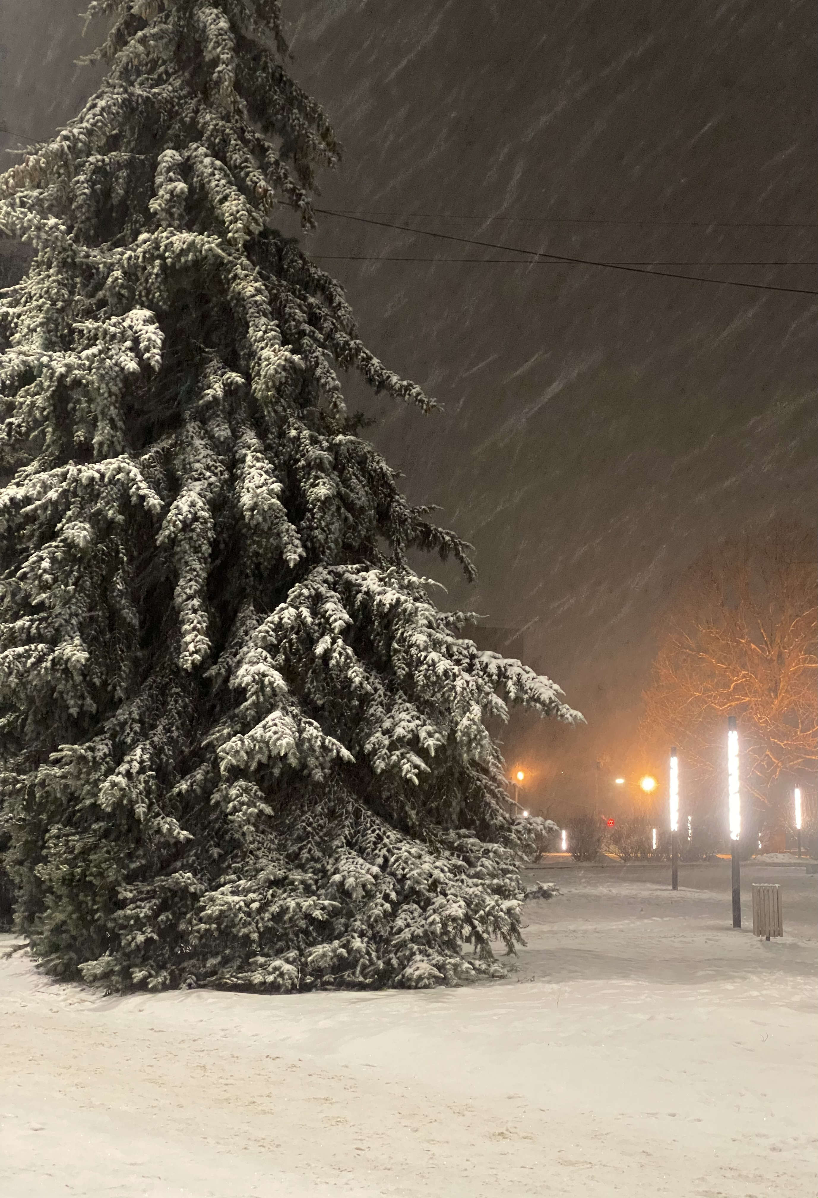 Кострома - Красное-на-Волге и ювелирный мастер-класс (7/15)