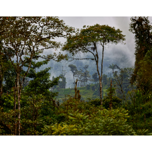 На пути к племенам в Эквадоре с Галапагосами (27/39)