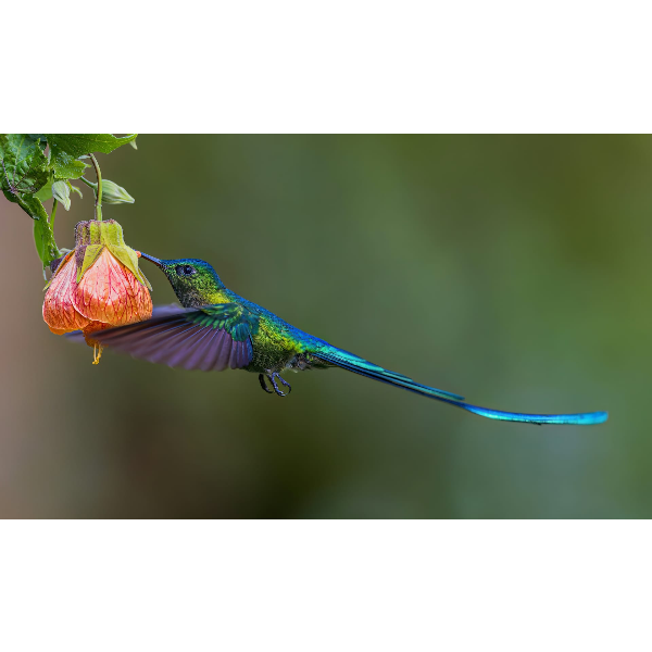 На пути к племенам в Эквадоре с Галапагосами (22/39)