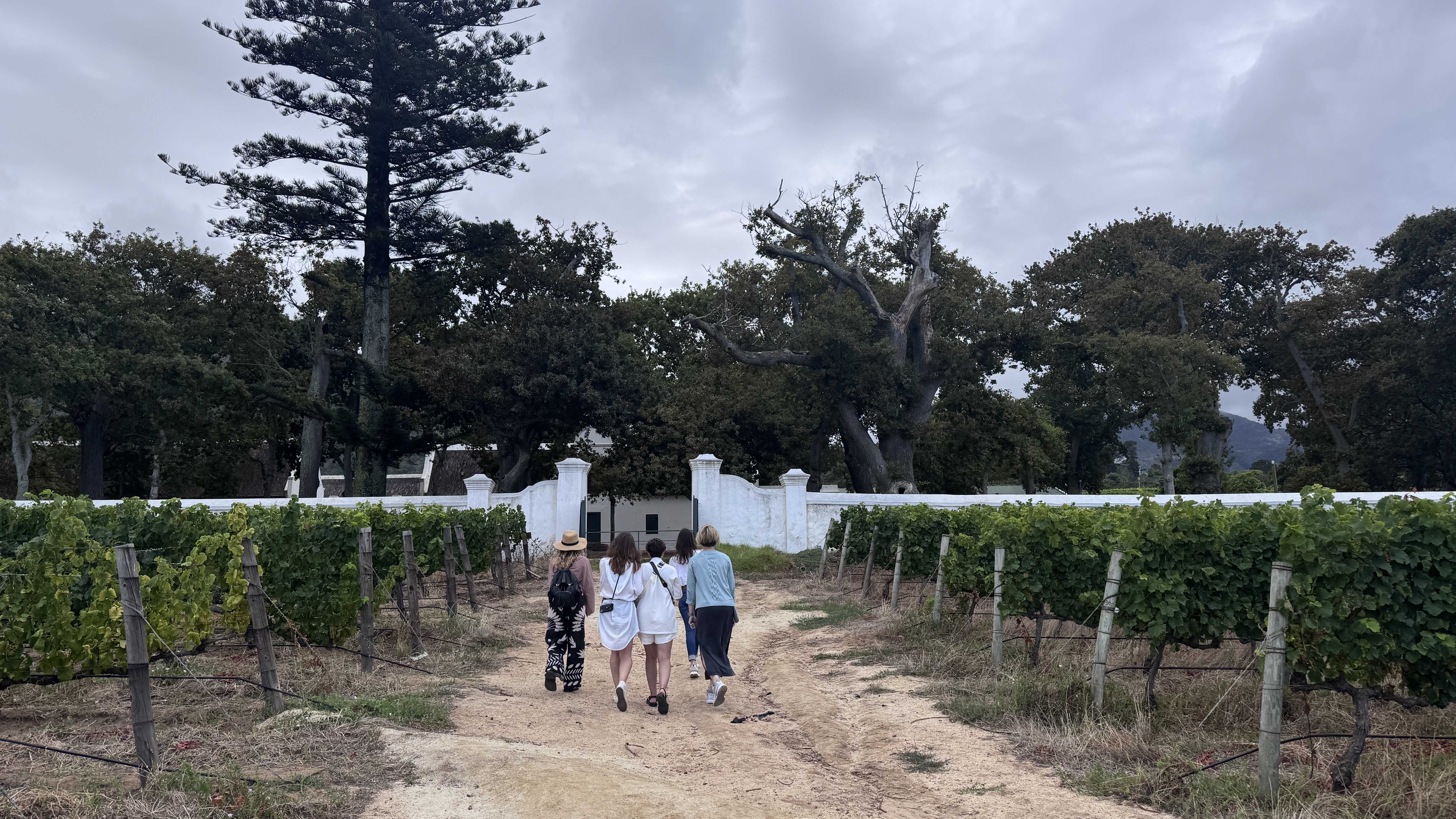 Большое путешествие по Юар (24/31)