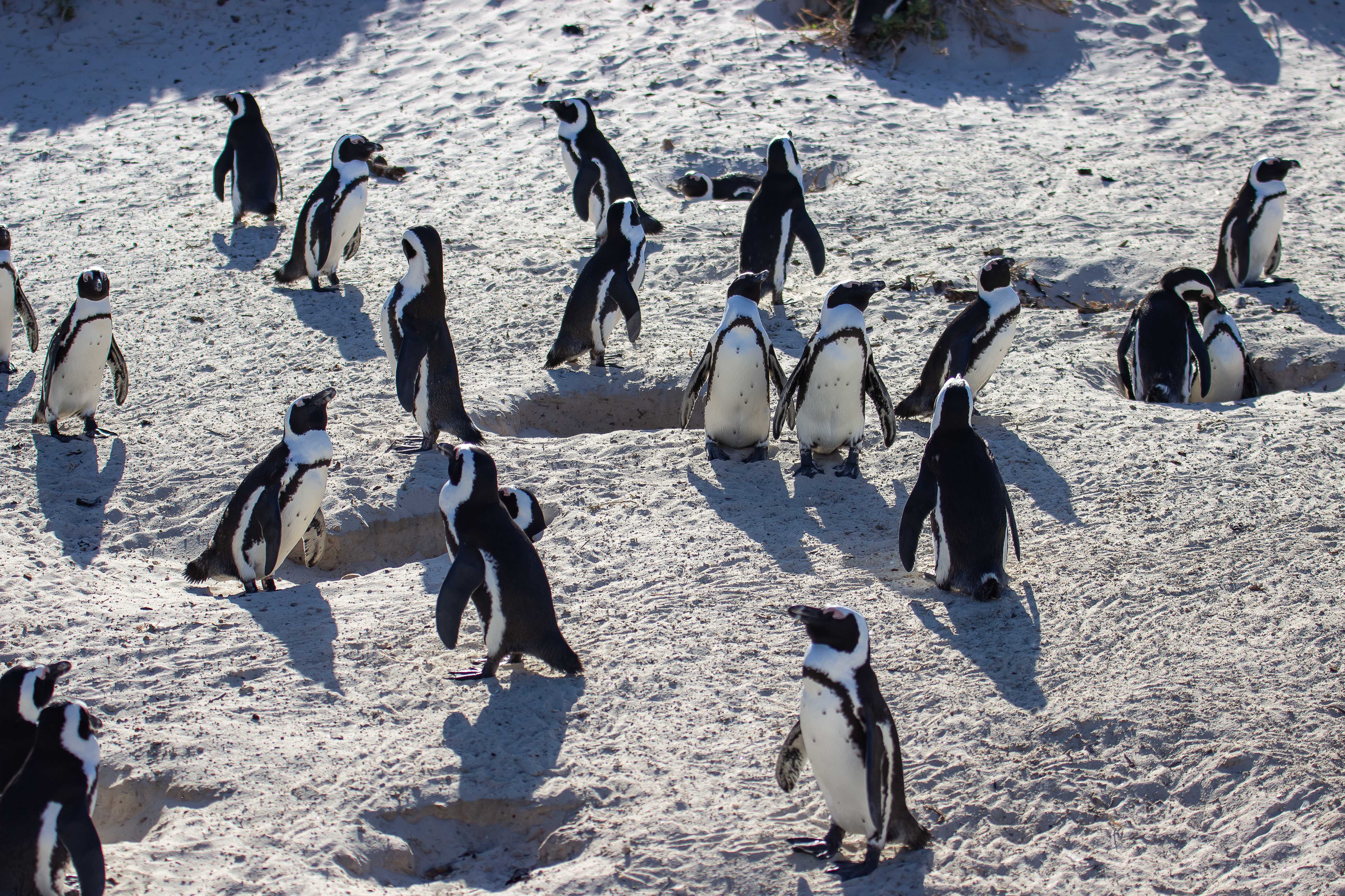 Большое путешествие по Юар (18/31)