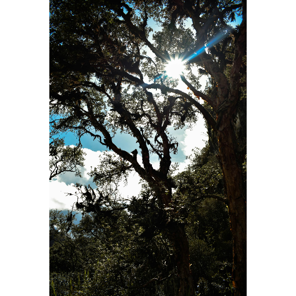 На пути к племенам в Эквадоре с Галапагосами (37/39)