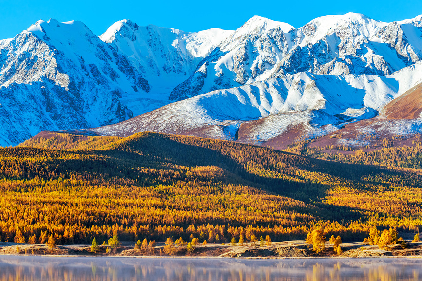 Арт-тур Маашей