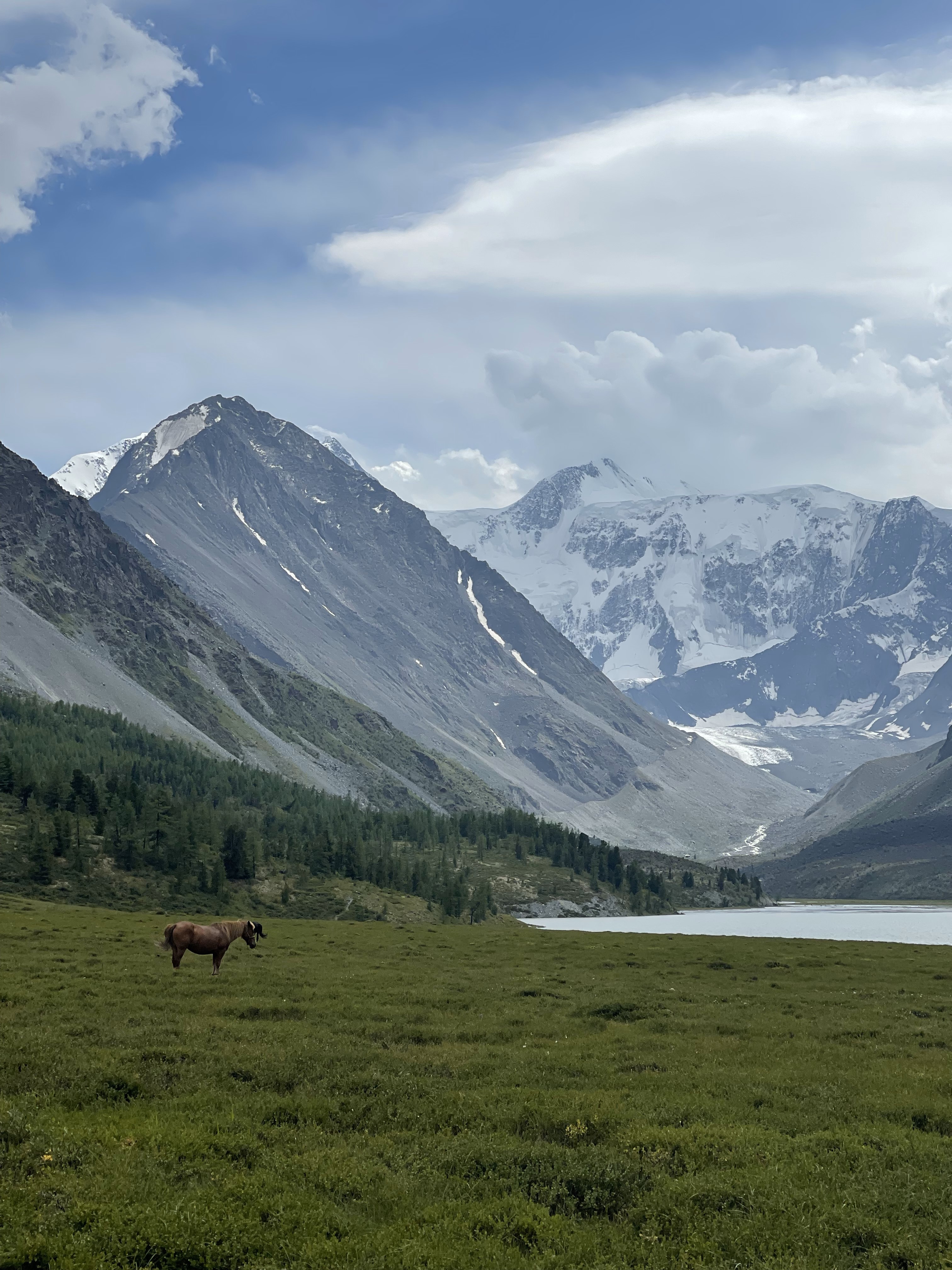 Поход к подножию Белухи с легкими рюкзаками. 11 дней. Кемпинг, баня, питание (33/33)