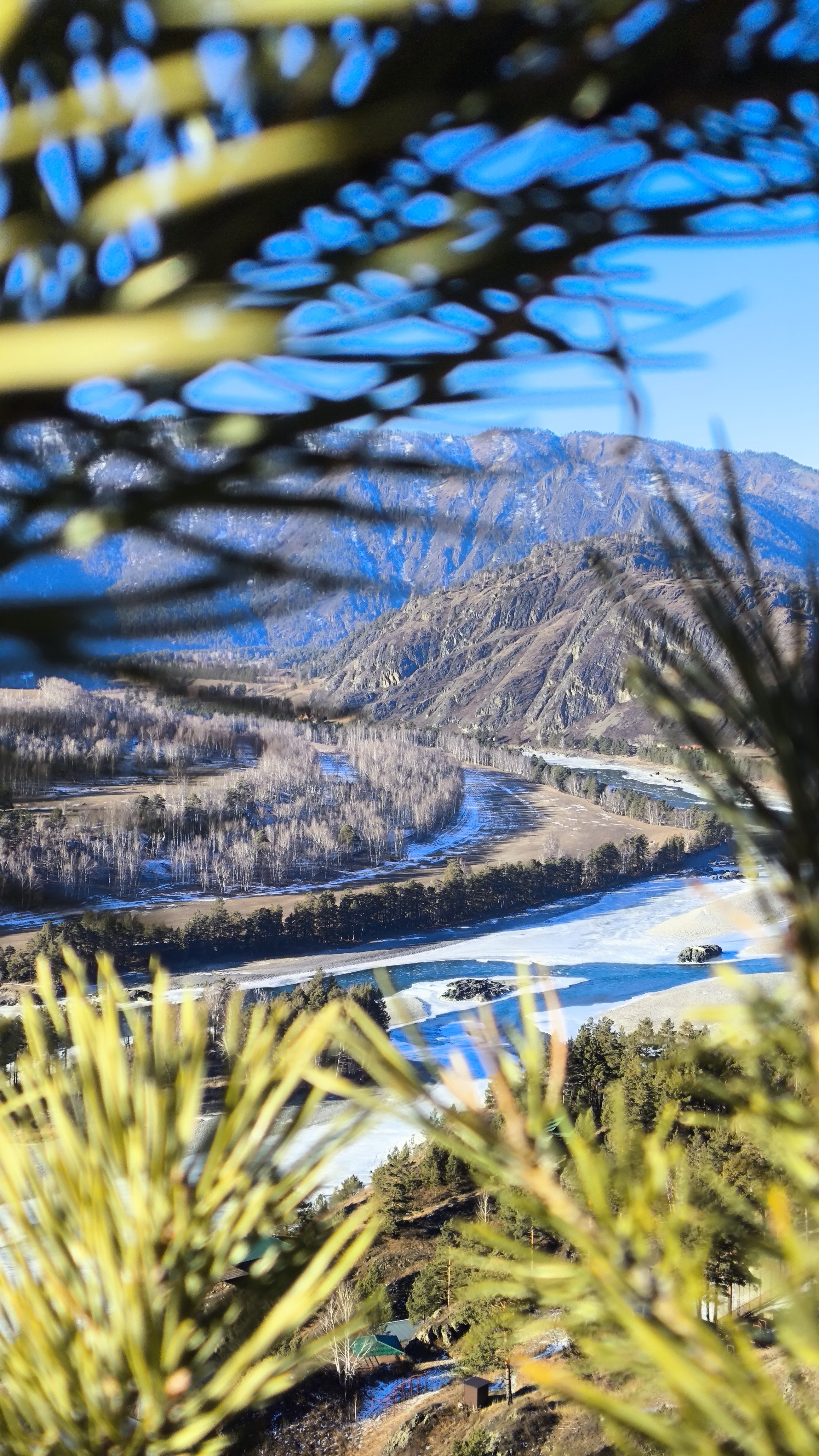 Первое знакомство с Алтаем (Чемальский район) (11/15)