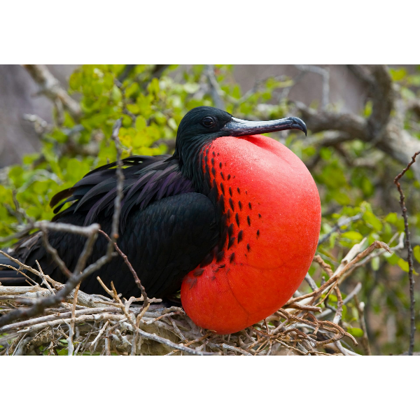 На пути к племенам в Эквадоре с Галапагосами (11/39)