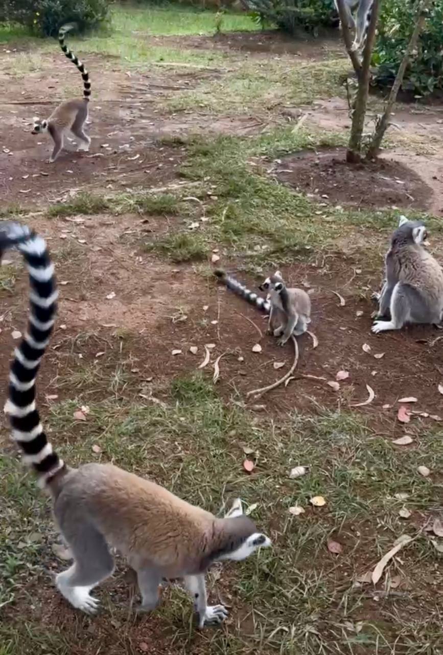 Экспедиция на Мадагаскар (21/28)