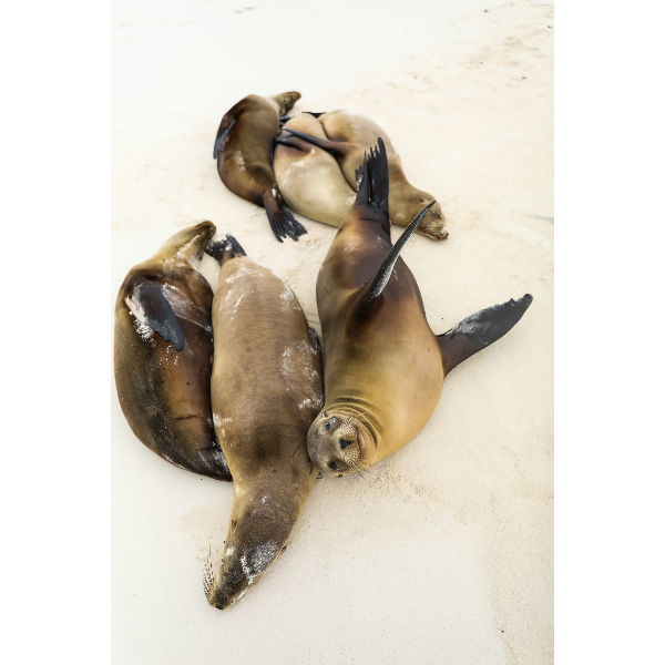 На пути к племенам в Эквадоре с Галапагосами (14/39)