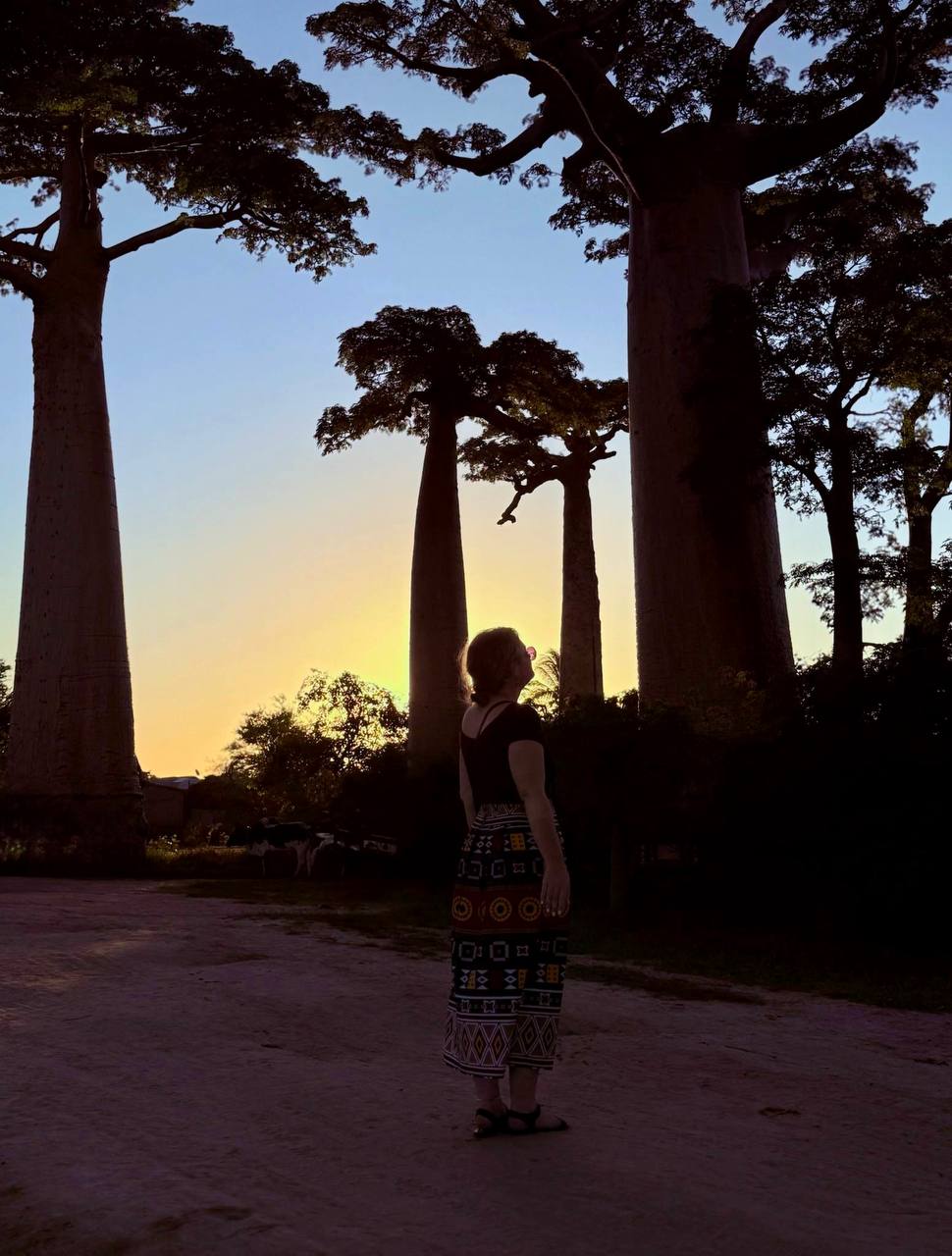 Мадагаскар: погружение в затерянный мир