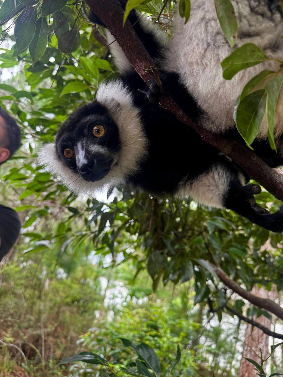 Экспедиция на Мадагаскар (25/28)