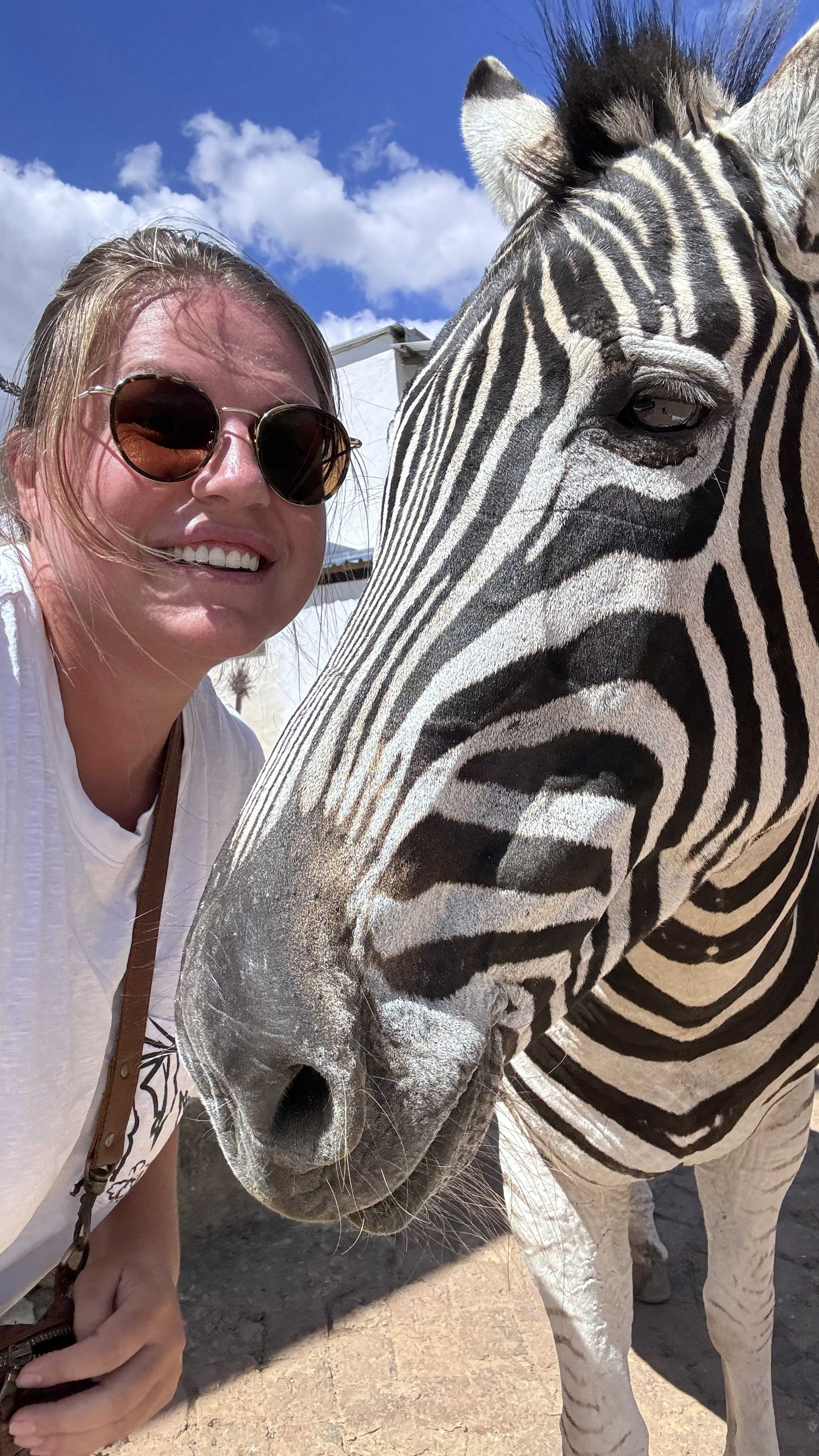 Большое путешествие по Юар (28/31)