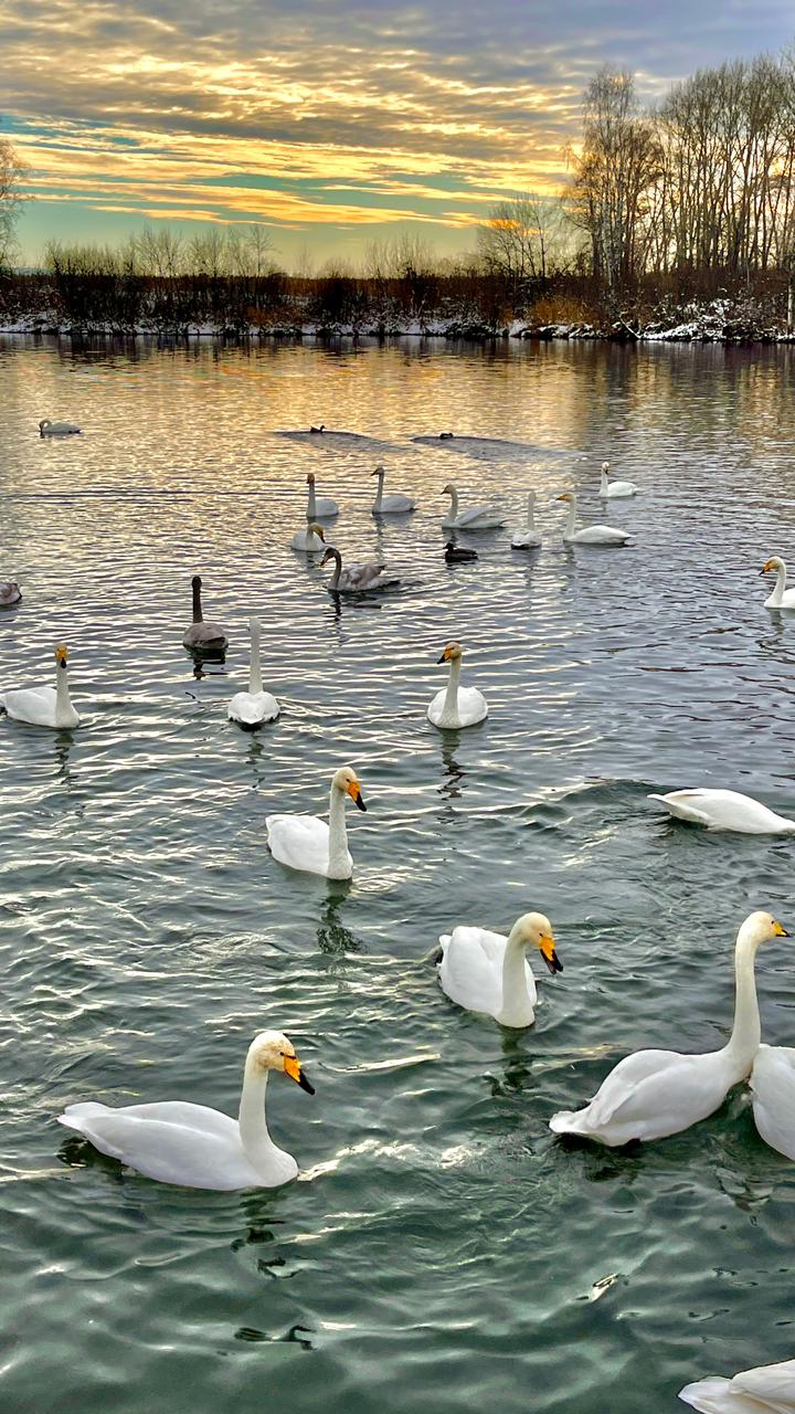 Первое знакомство с Алтаем (Чемальский район) (15/15)