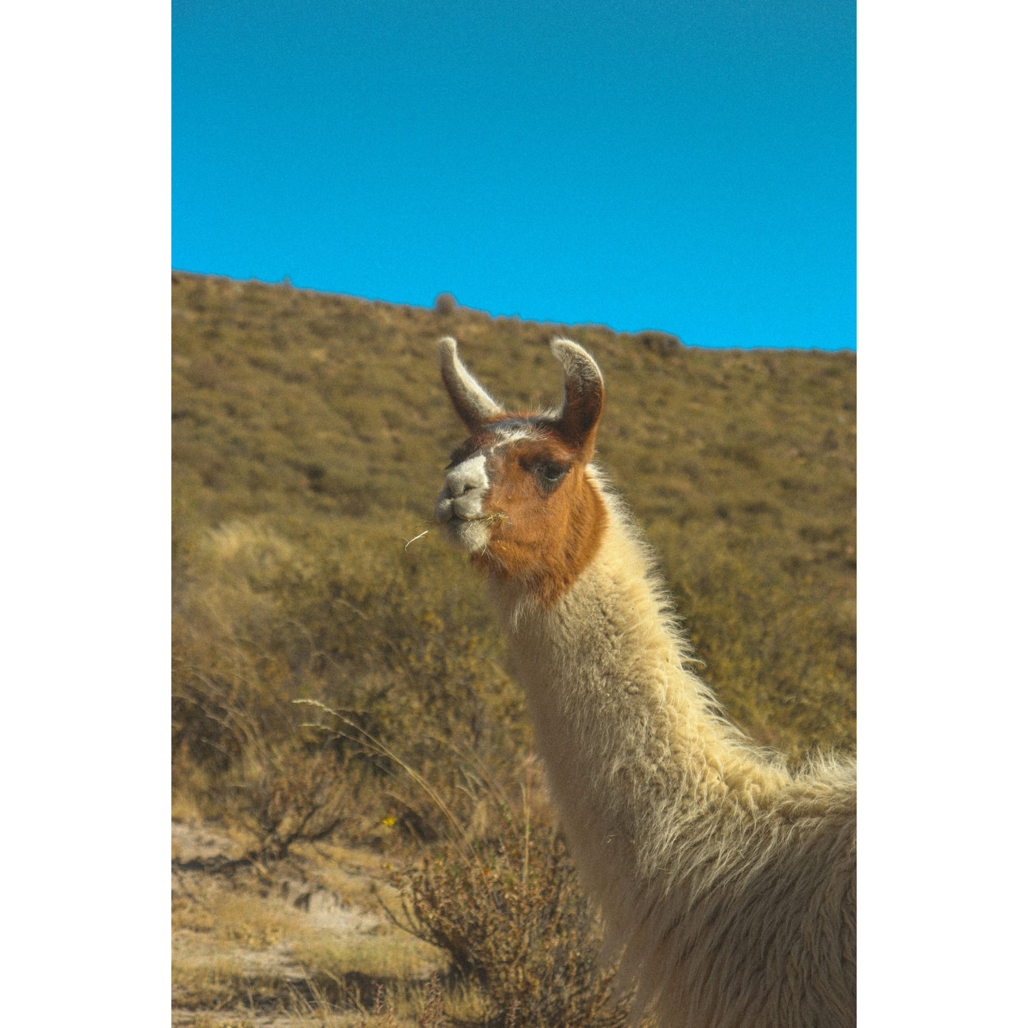 На пути к племенам в Эквадоре с Галапагосами (30/39)