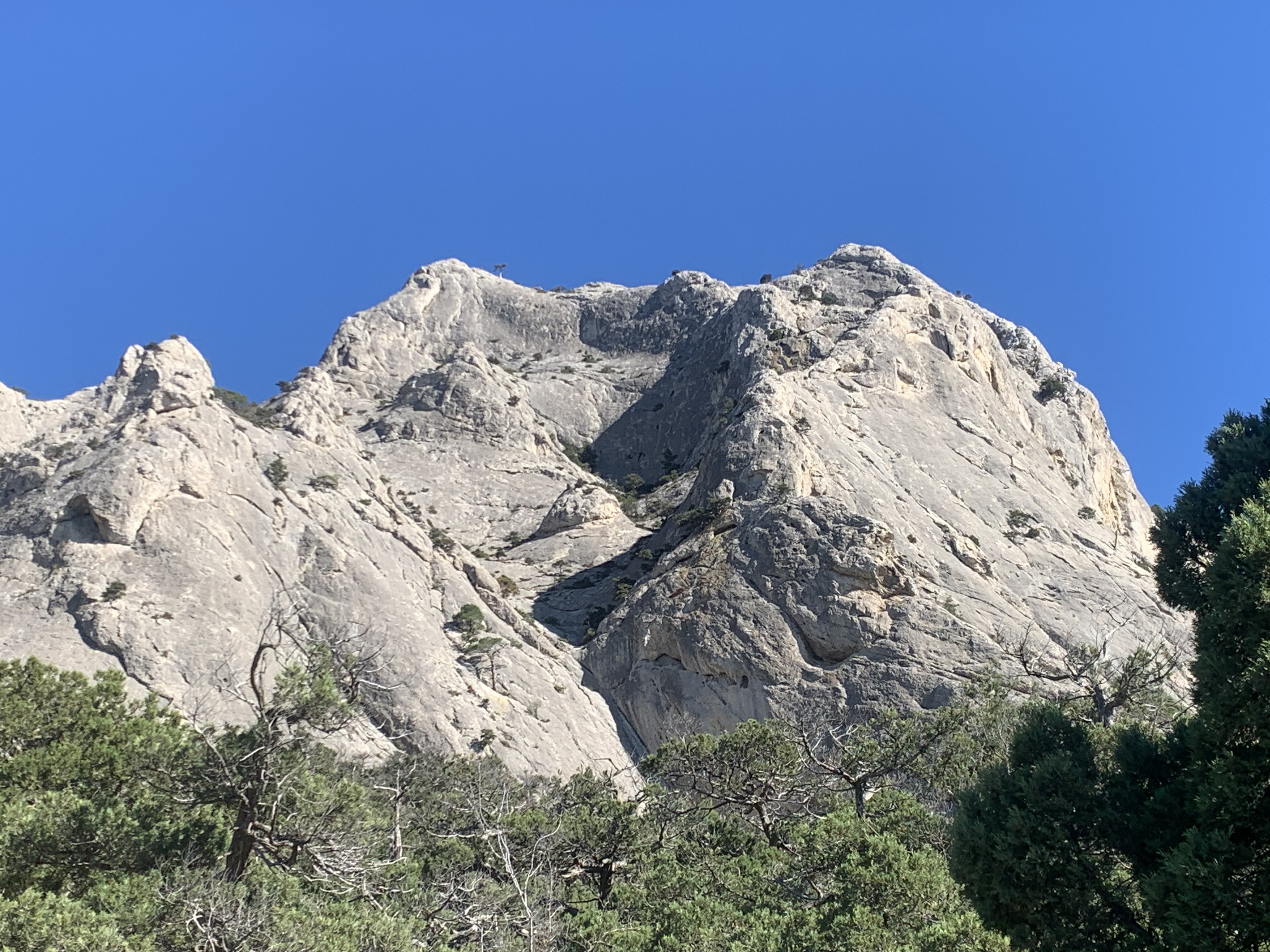 Прогулки по долинам Крыма. Восхождение на гору Сокол. Тренировки по скалолазанию. (53/128)