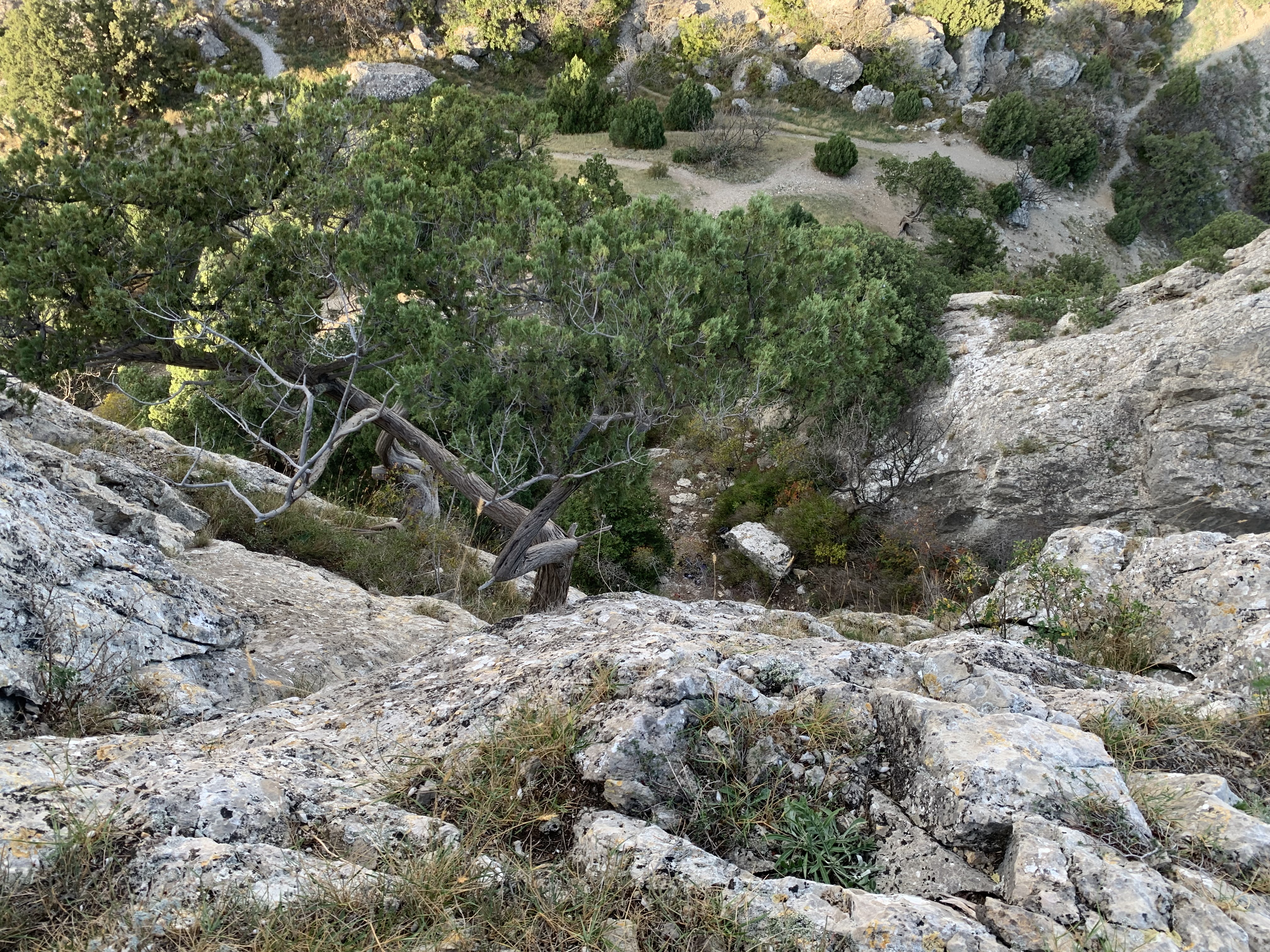 Прогулки по долинам Крыма. Восхождение на гору Сокол. Тренировки по скалолазанию. (103/128)