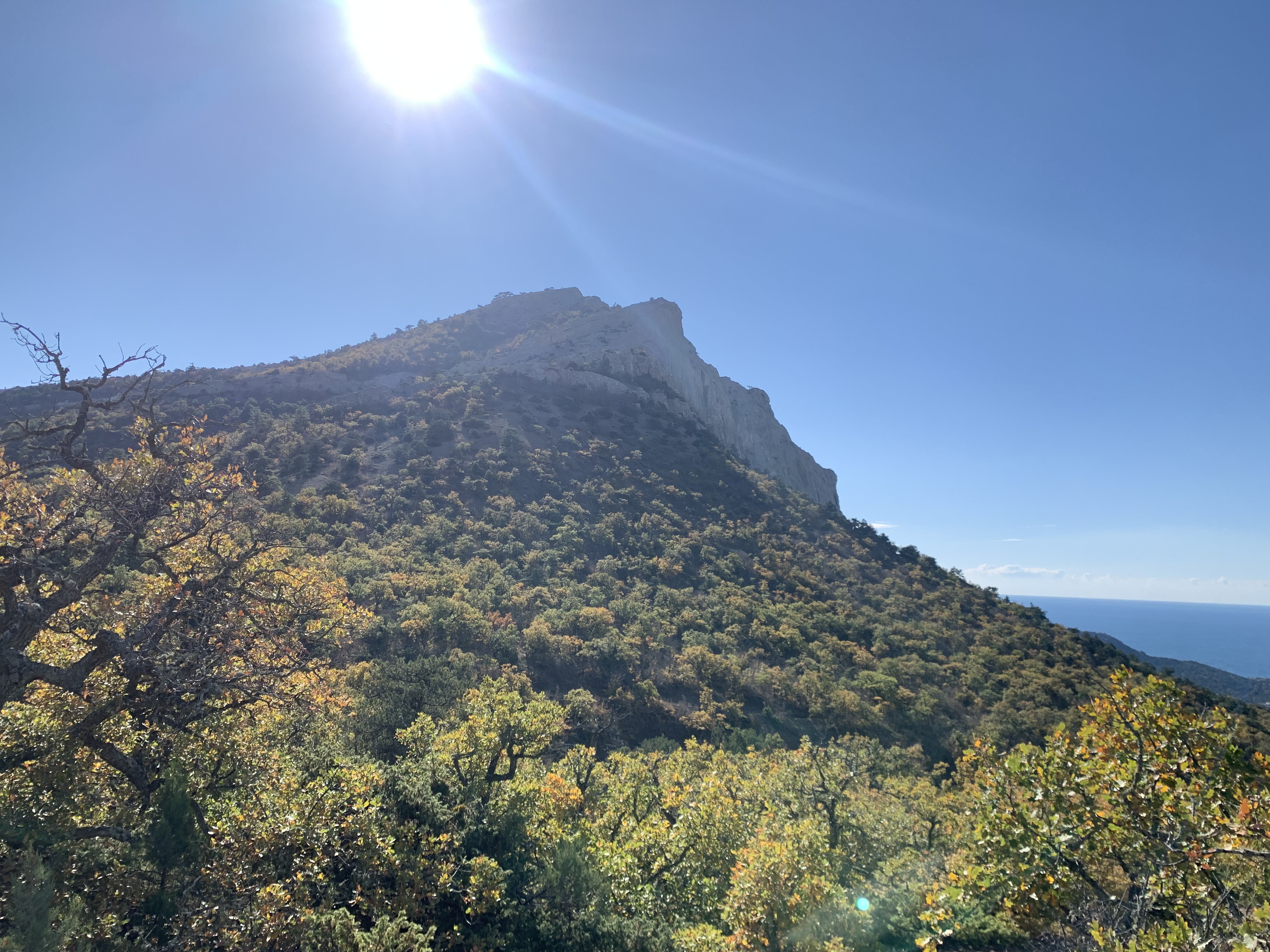 Прогулки по долинам Крыма. Восхождение на гору Сокол. Тренировки по скалолазанию. (40/128)