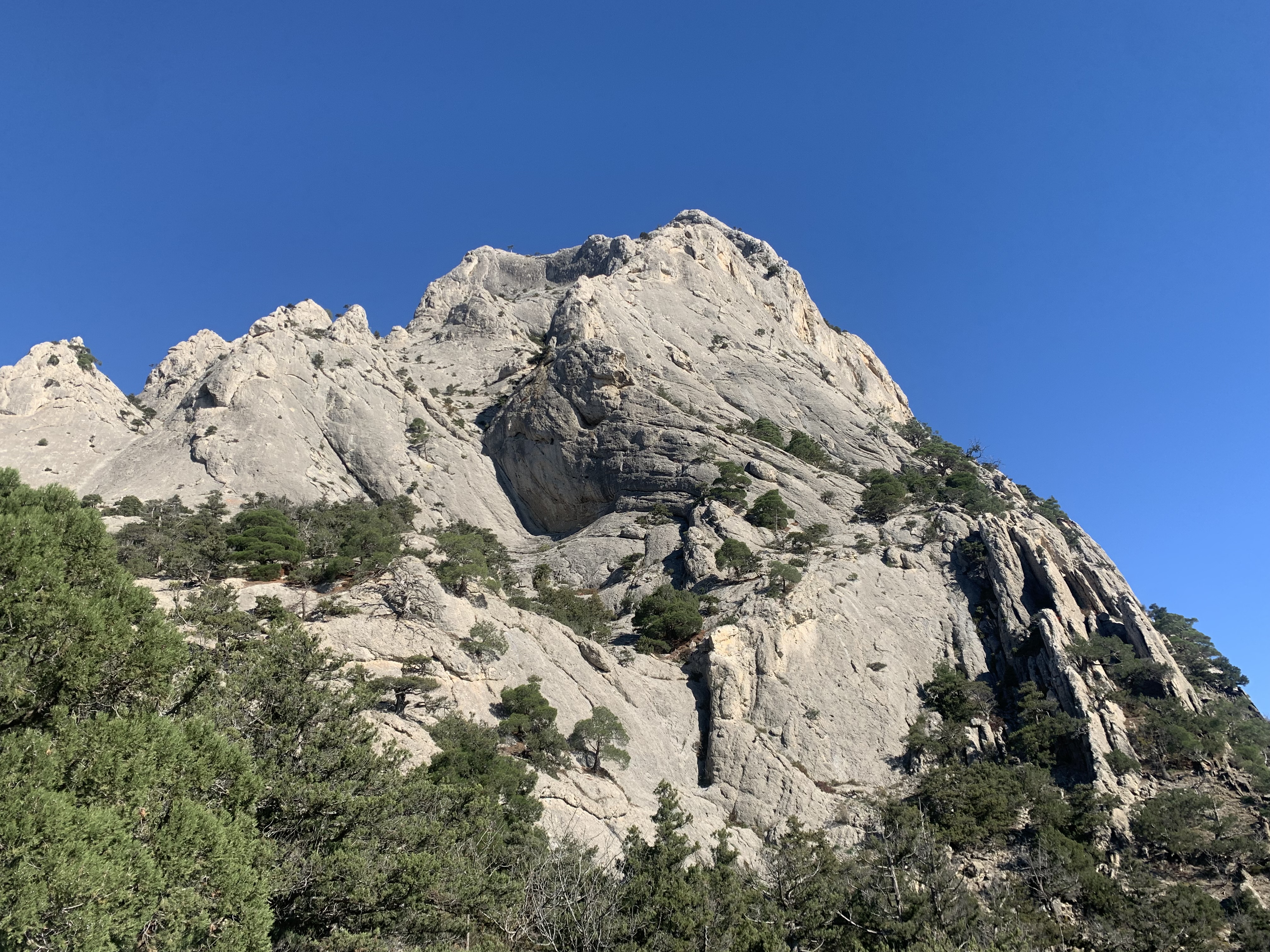 Прогулки по долинам Крыма. Восхождение на гору Сокол. Тренировки по скалолазанию. (55/128)