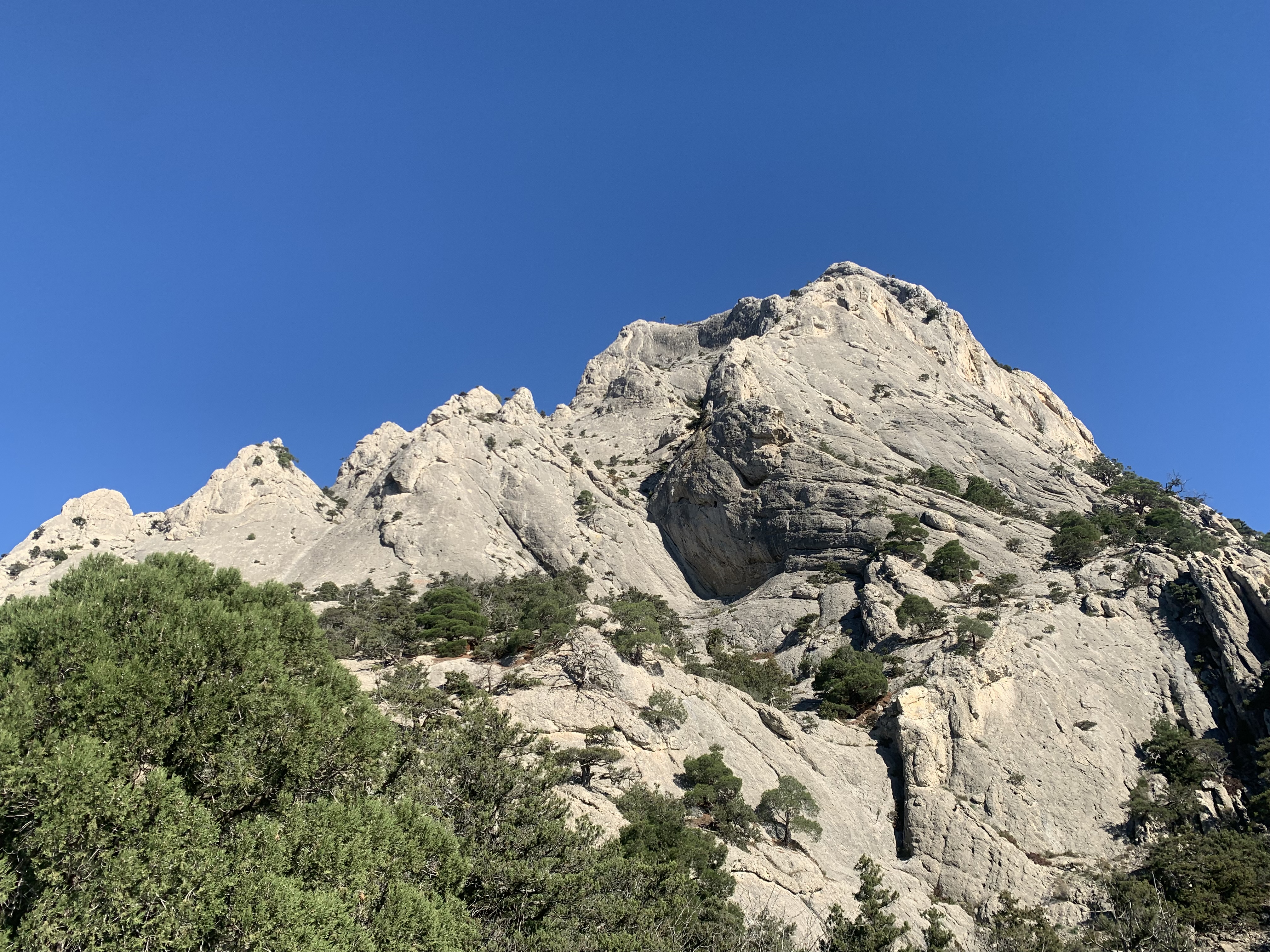 Прогулки по долинам Крыма. Восхождение на гору Сокол. Тренировки по скалолазанию. (56/128)