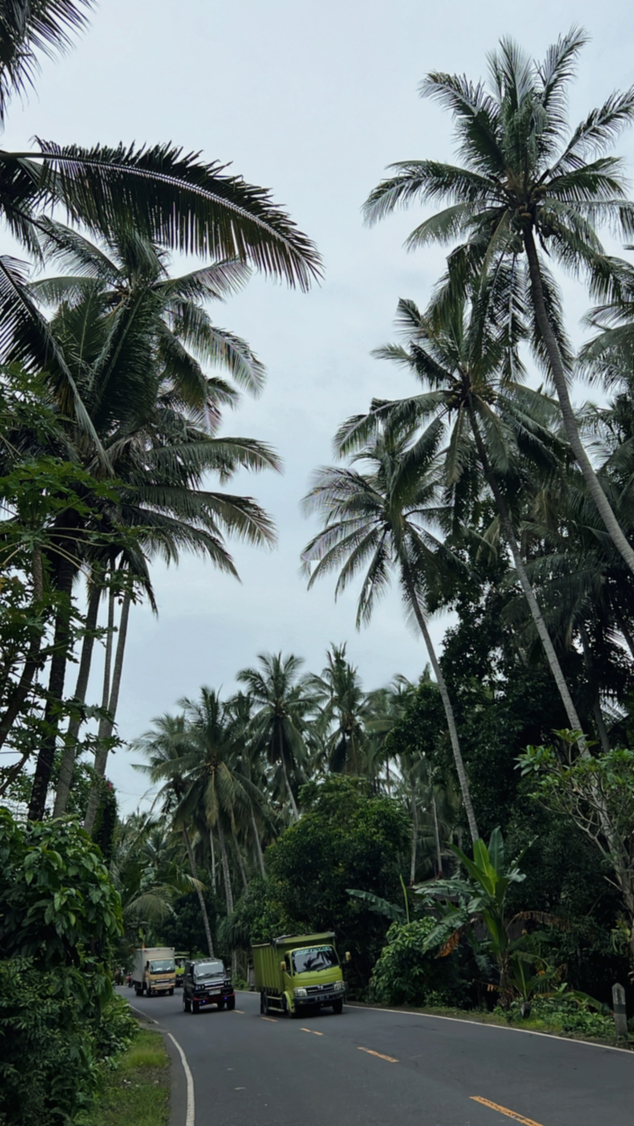 Фото-девичник на Бали за 10 дней (44/167)