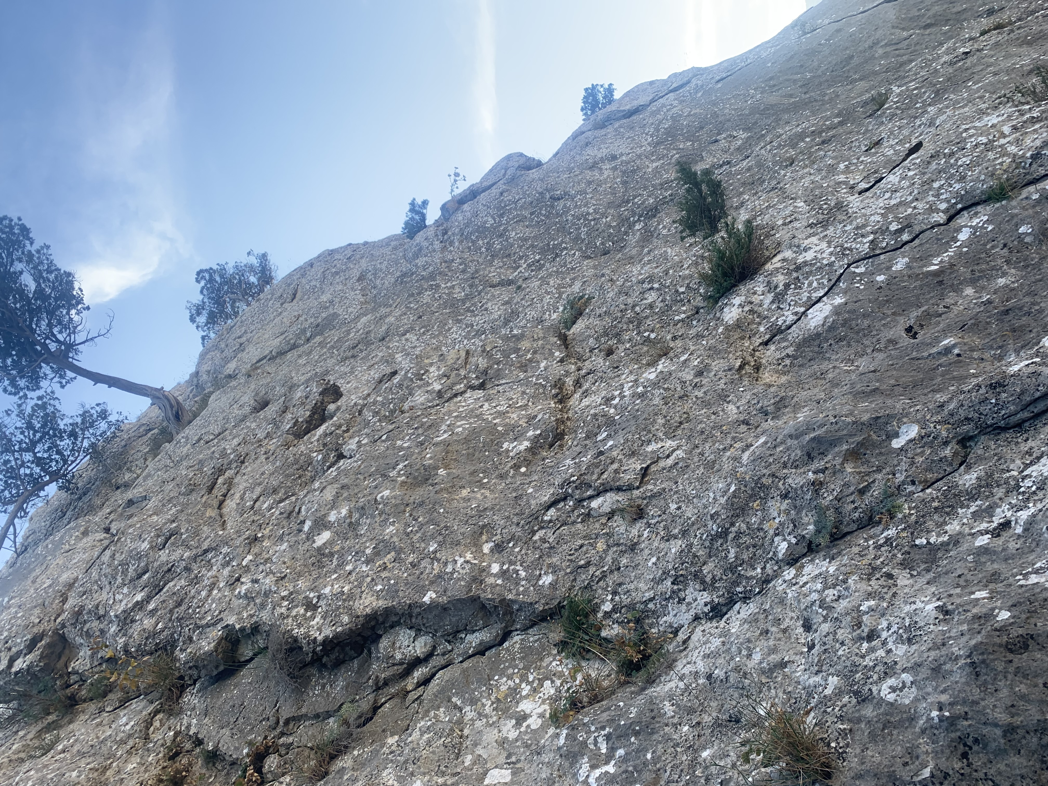 Прогулки по долинам Крыма. Восхождение на гору Сокол. Тренировки по скалолазанию. (98/128)