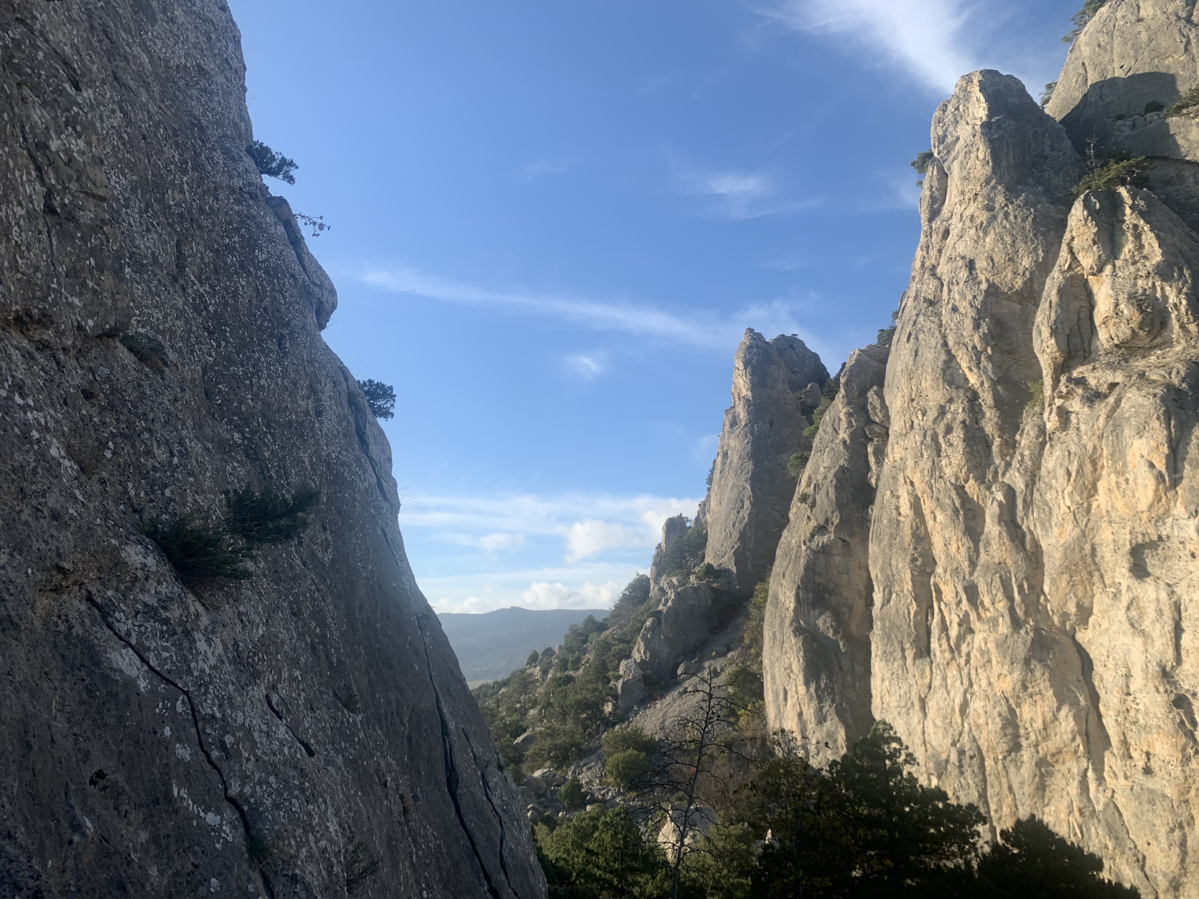 Прогулки по долинам Крыма. Восхождение на гору Сокол. Тренировки по скалолазанию. (97/128)