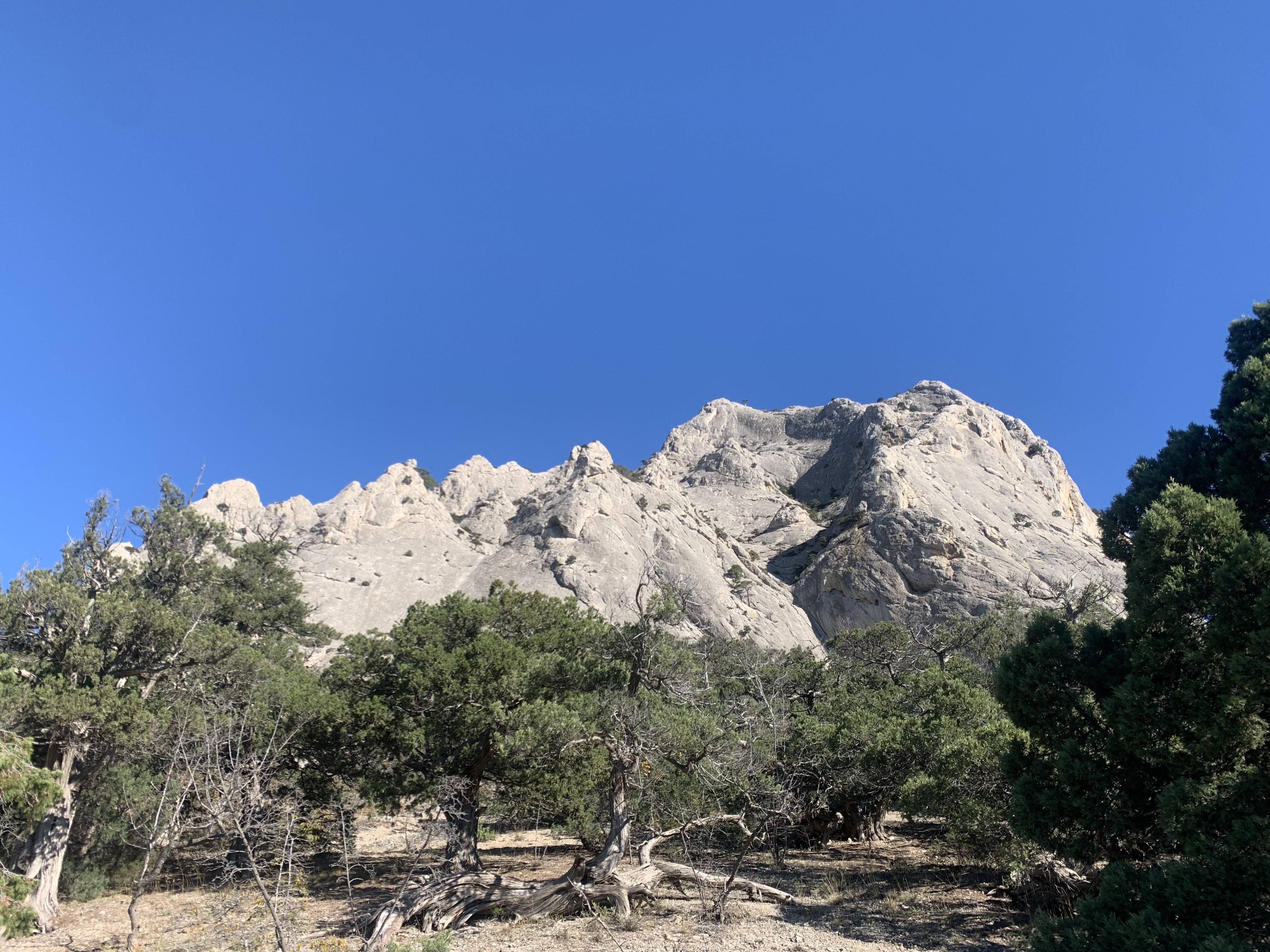 Прогулки по долинам Крыма. Восхождение на гору Сокол. Тренировки по скалолазанию. (51/128)