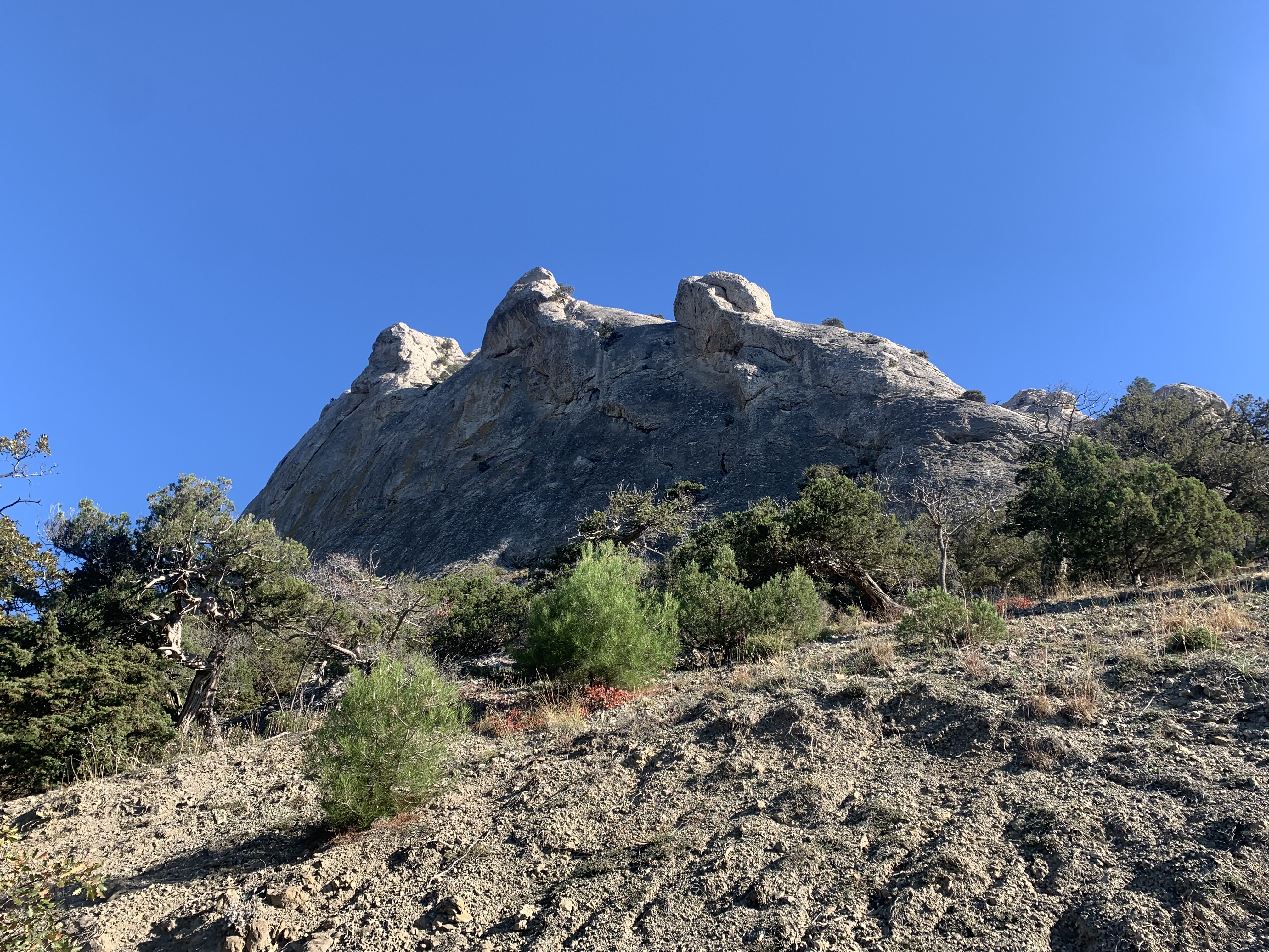 Прогулки по долинам Крыма. Восхождение на гору Сокол. Тренировки по скалолазанию. (47/128)