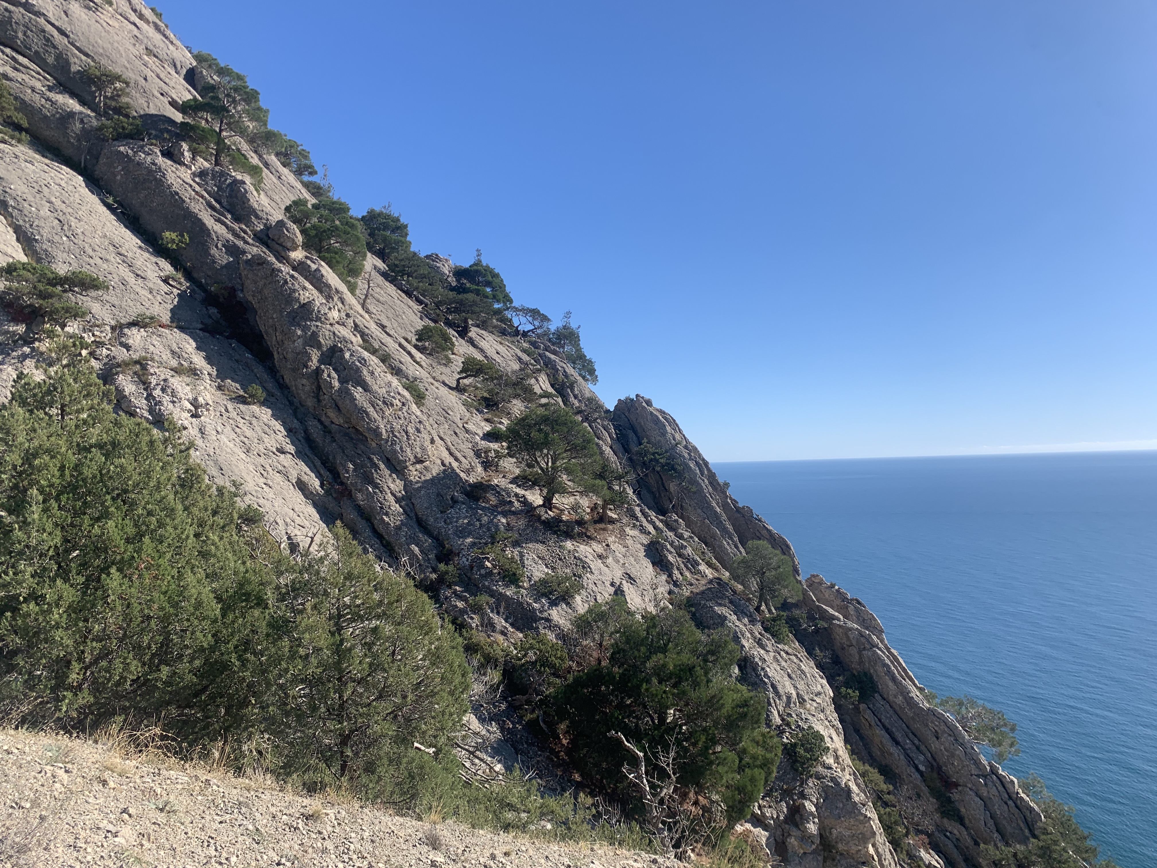 Прогулки по долинам Крыма. Восхождение на гору Сокол. Тренировки по скалолазанию. (57/128)