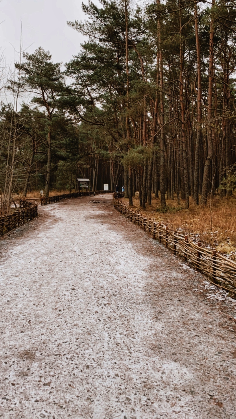 Суть места: Калининградская область за 5 дней. Всё Включено (5/28)