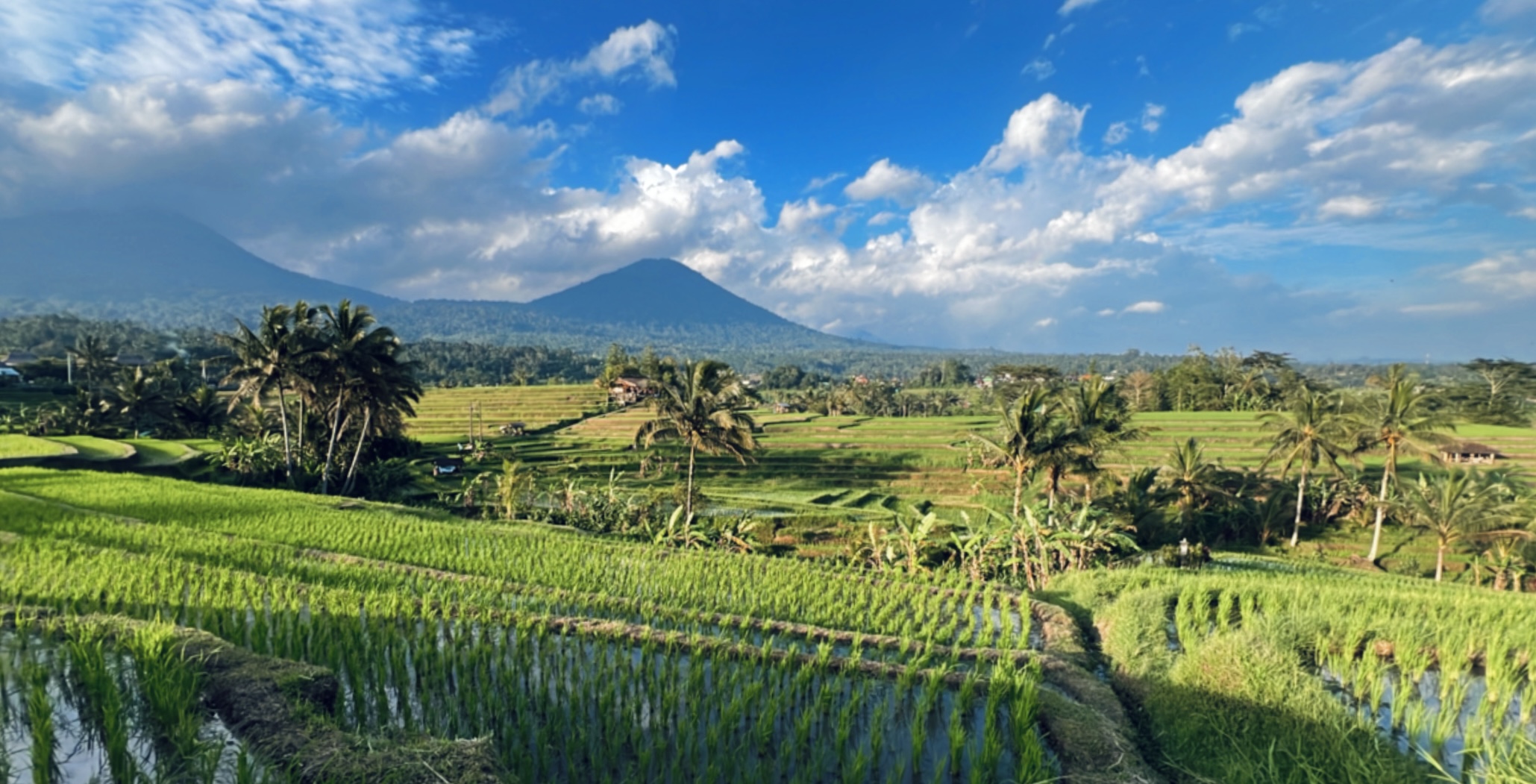 Фото-девичник на Бали за 10 дней (19/167)
