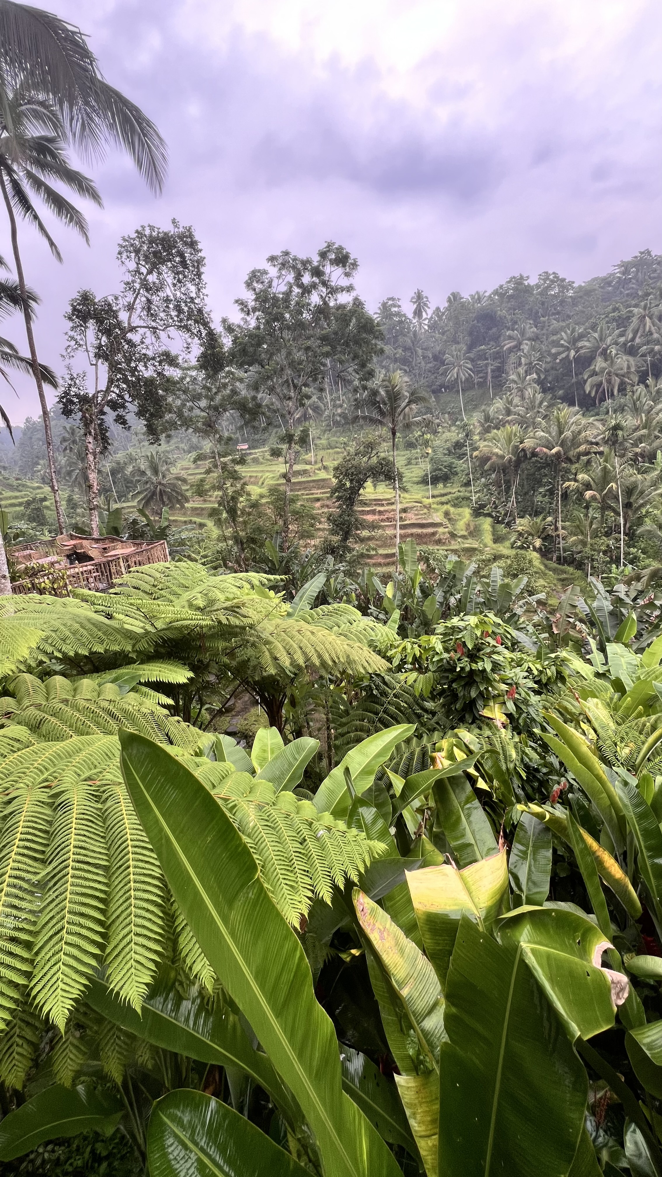 Фото-девичник на Бали за 10 дней (48/167)