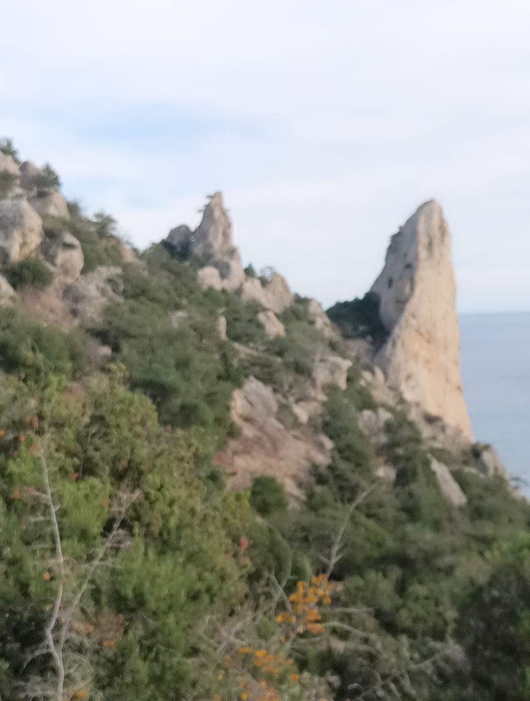 Прогулки по долинам Крыма. Восхождение на гору Сокол. Тренировки по скалолазанию. (39/128)