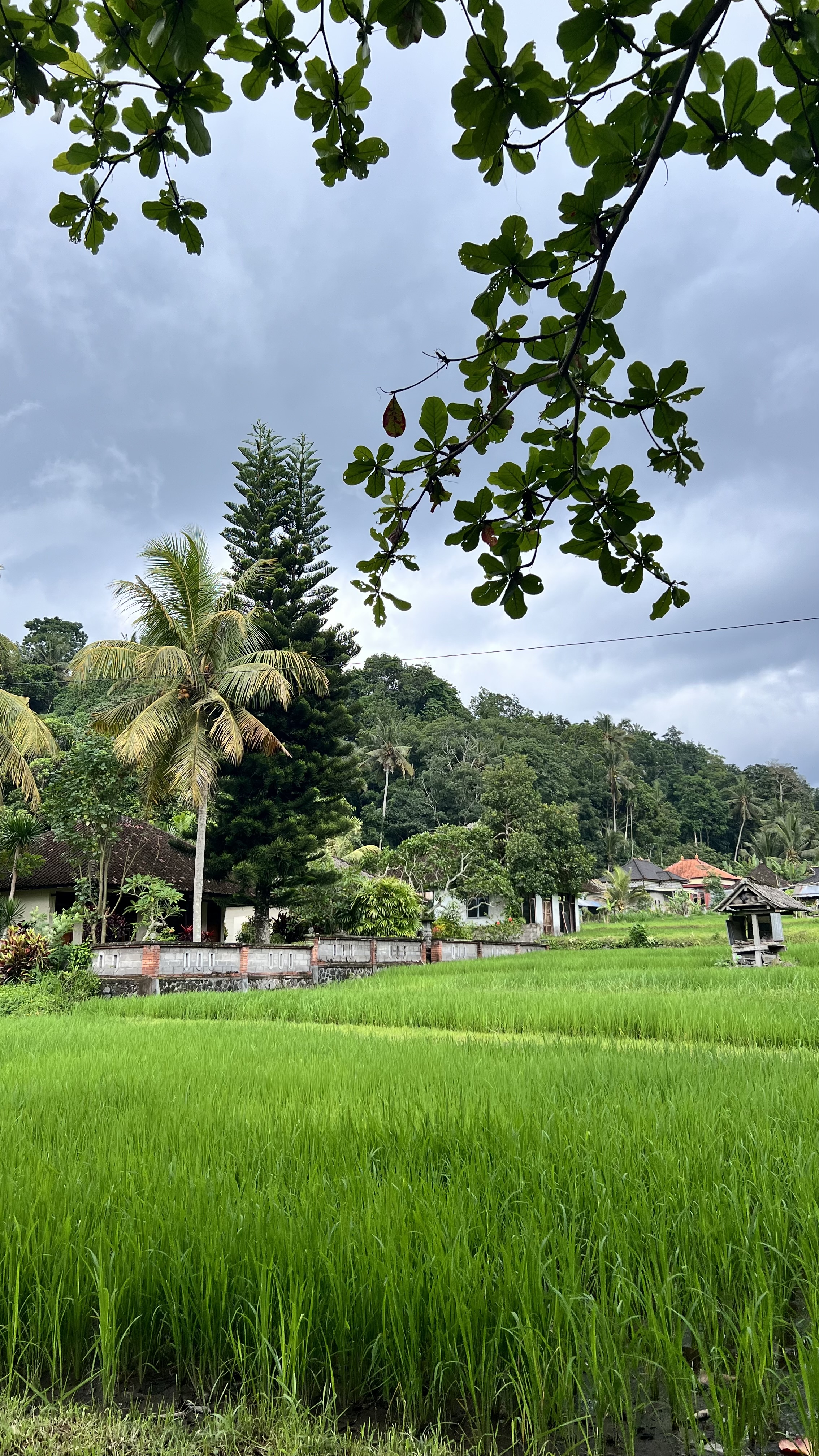 Фото-девичник на Бали за 10 дней (108/167)