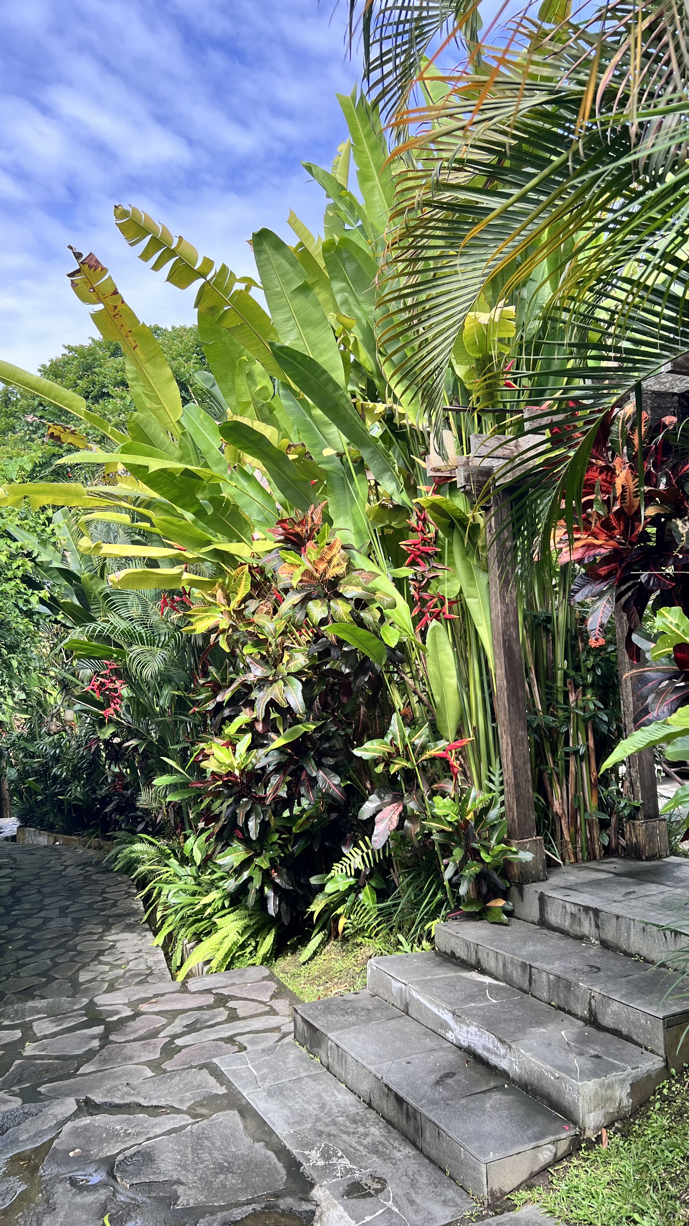 Фото-девичник на Бали за 10 дней (90/167)