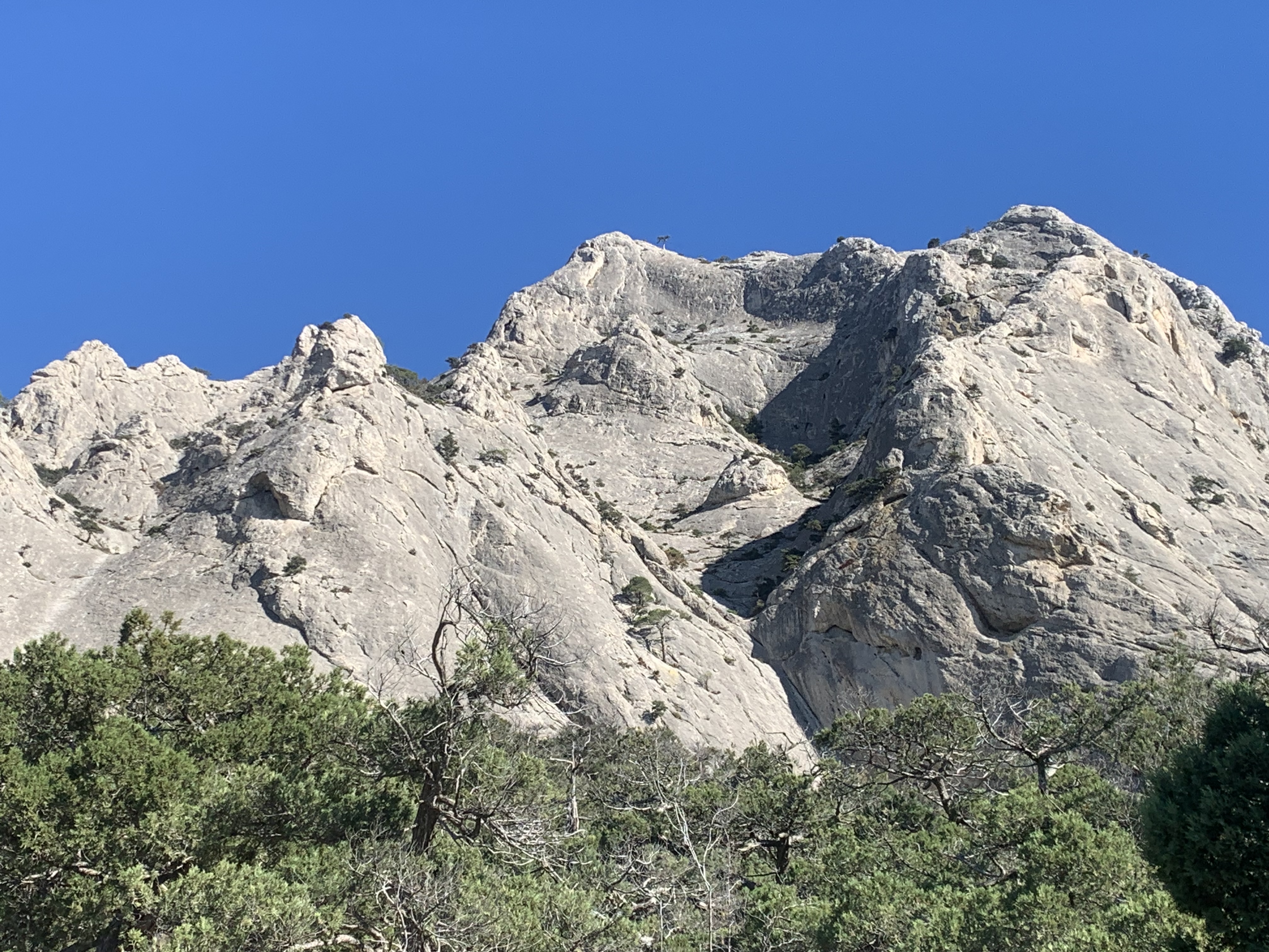 Прогулки по долинам Крыма. Восхождение на гору Сокол. Тренировки по скалолазанию. (52/128)