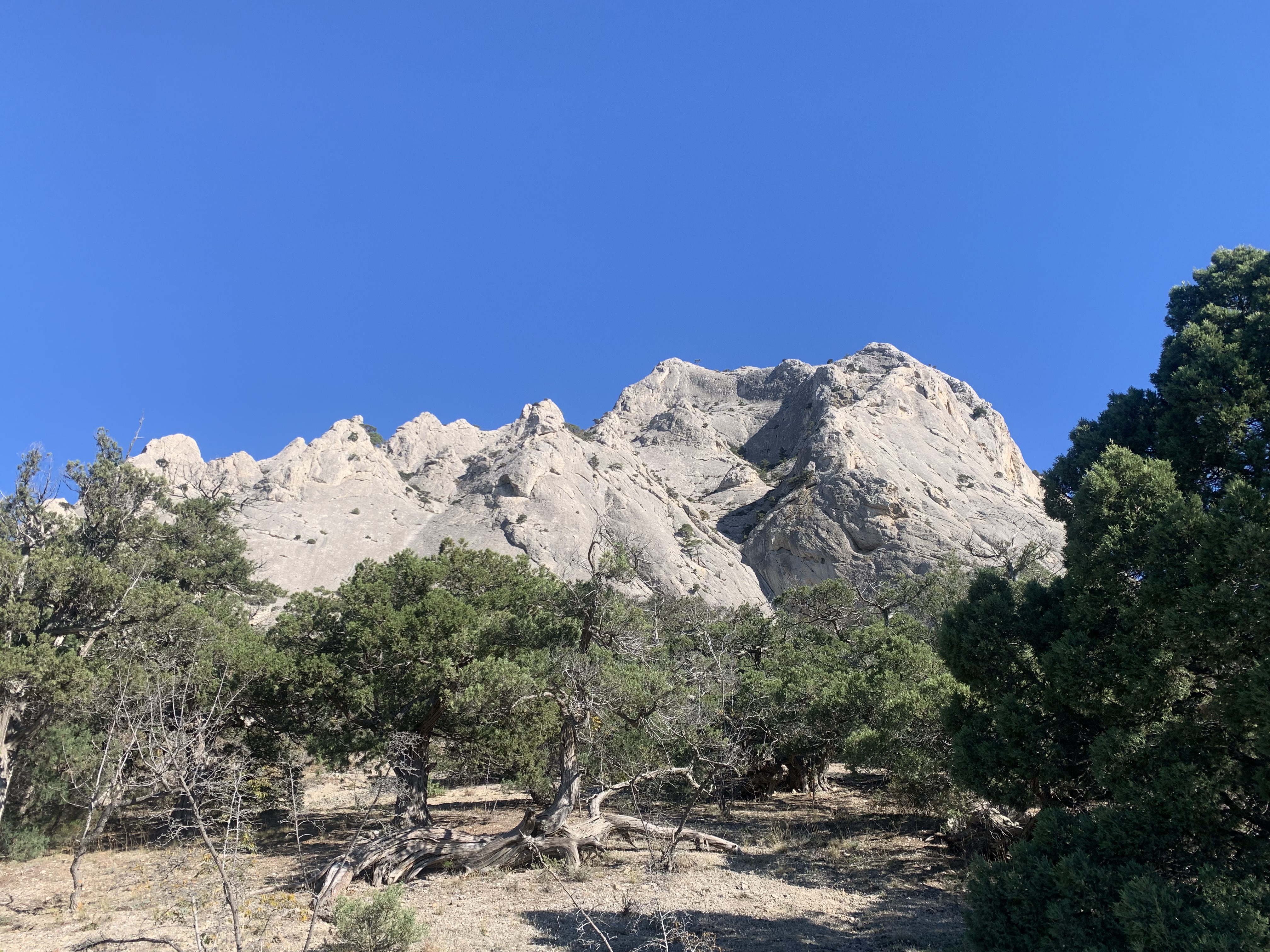 Прогулки по долинам Крыма. Восхождение на гору Сокол. Тренировки по скалолазанию. (50/128)