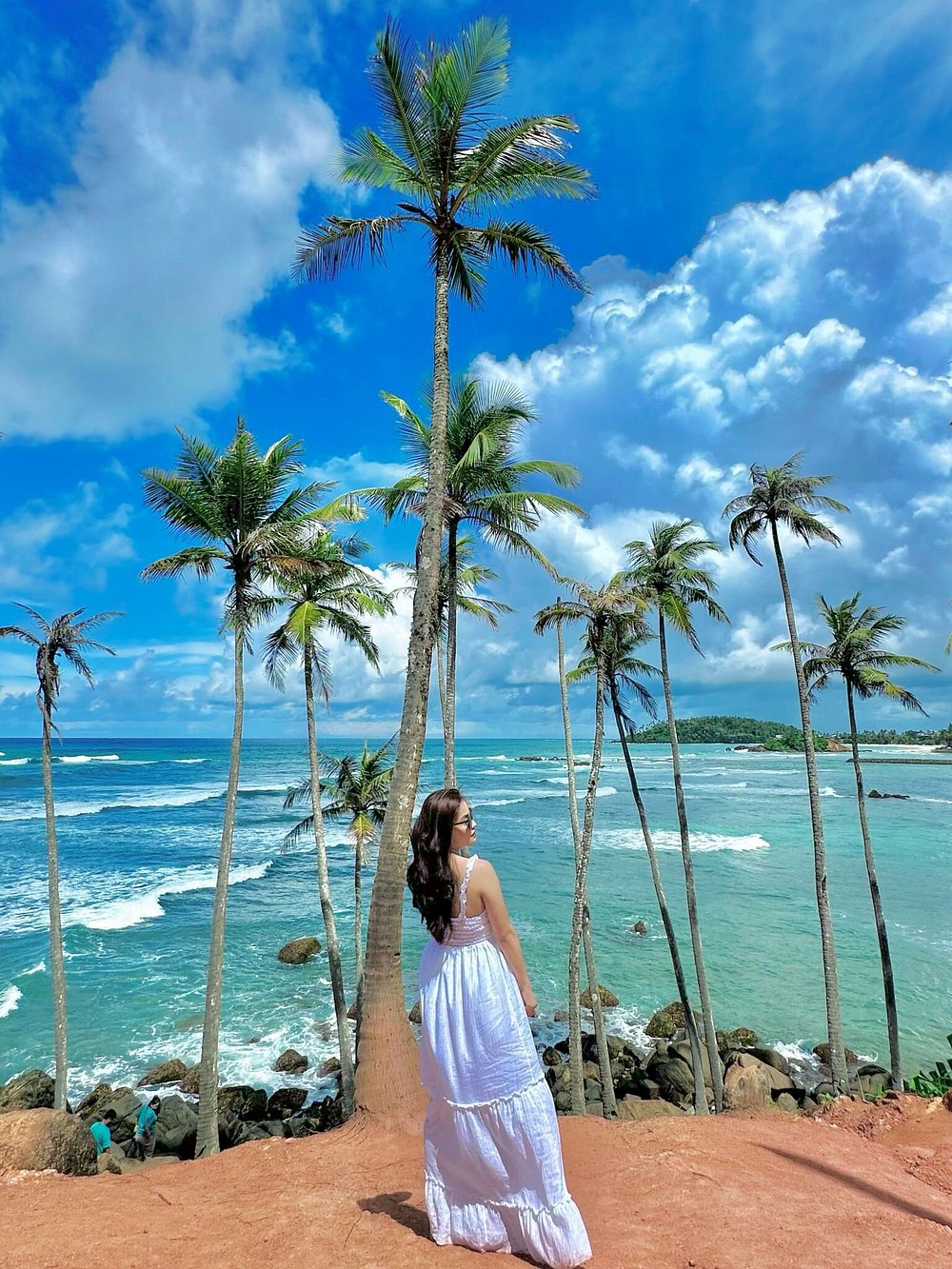 Океан и Coconut Tree Hill