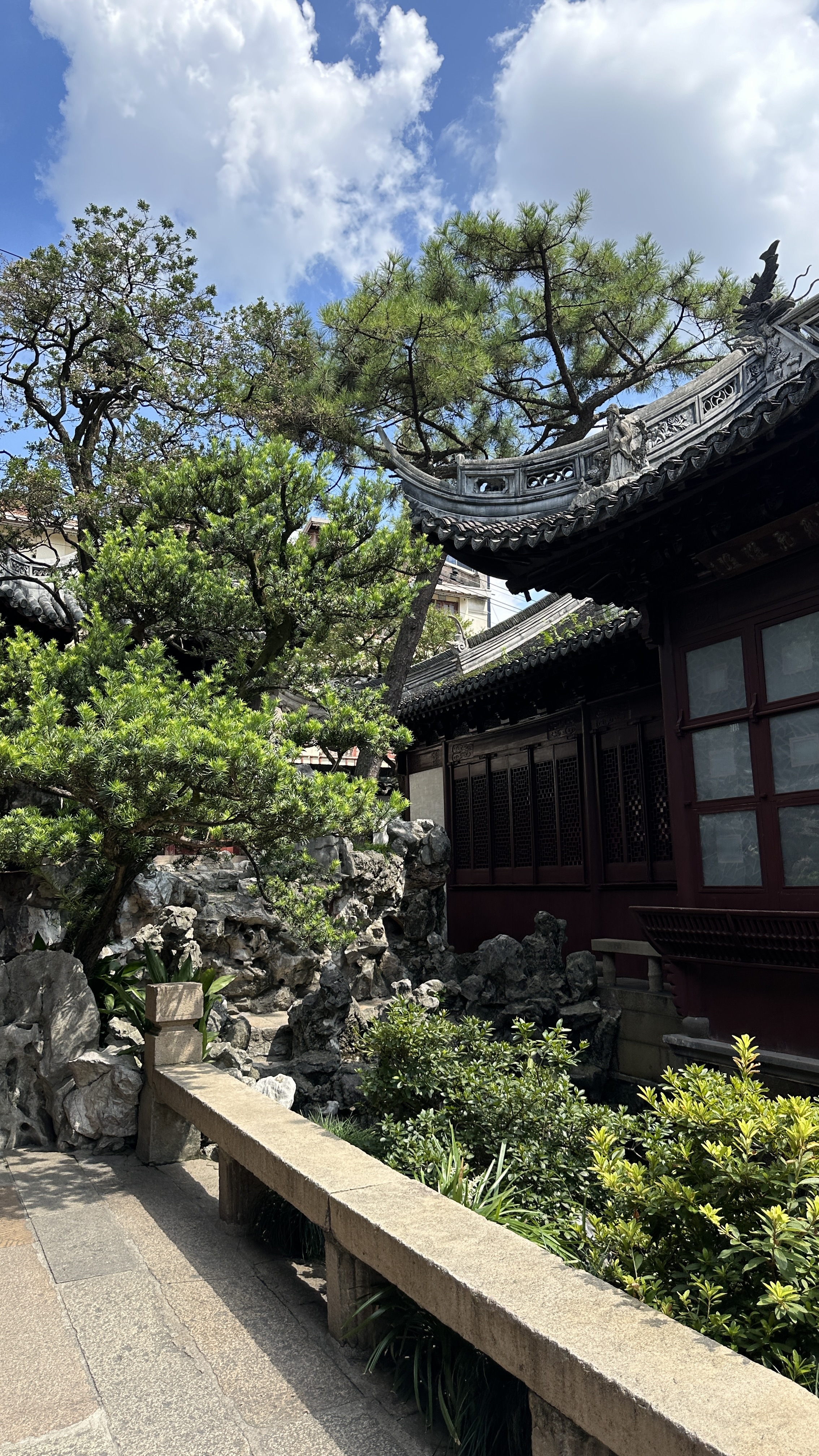 Красивый девичник в Китае- весна под сакурой!  Пекин+Шанхай. Мини группа (5/34)