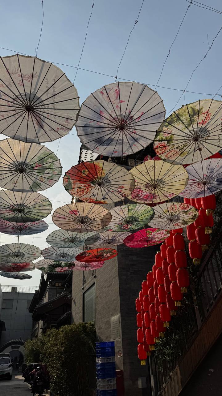 Красивый девичник в Китае- весна под сакурой!  Пекин+Шанхай. Мини группа (8/34)