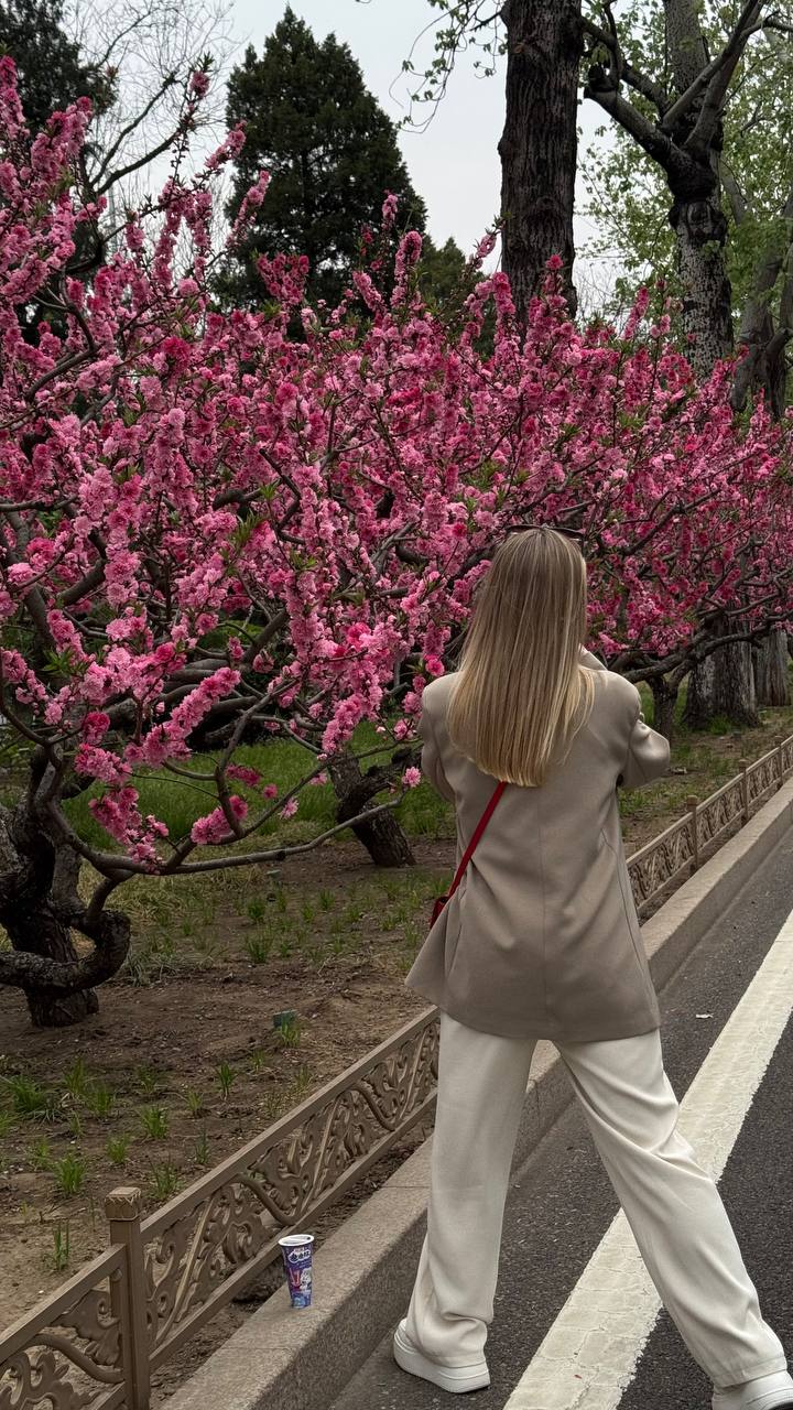 Красивый девичник в Китае- весна под сакурой!  Пекин+Шанхай. Мини группа (15/34)
